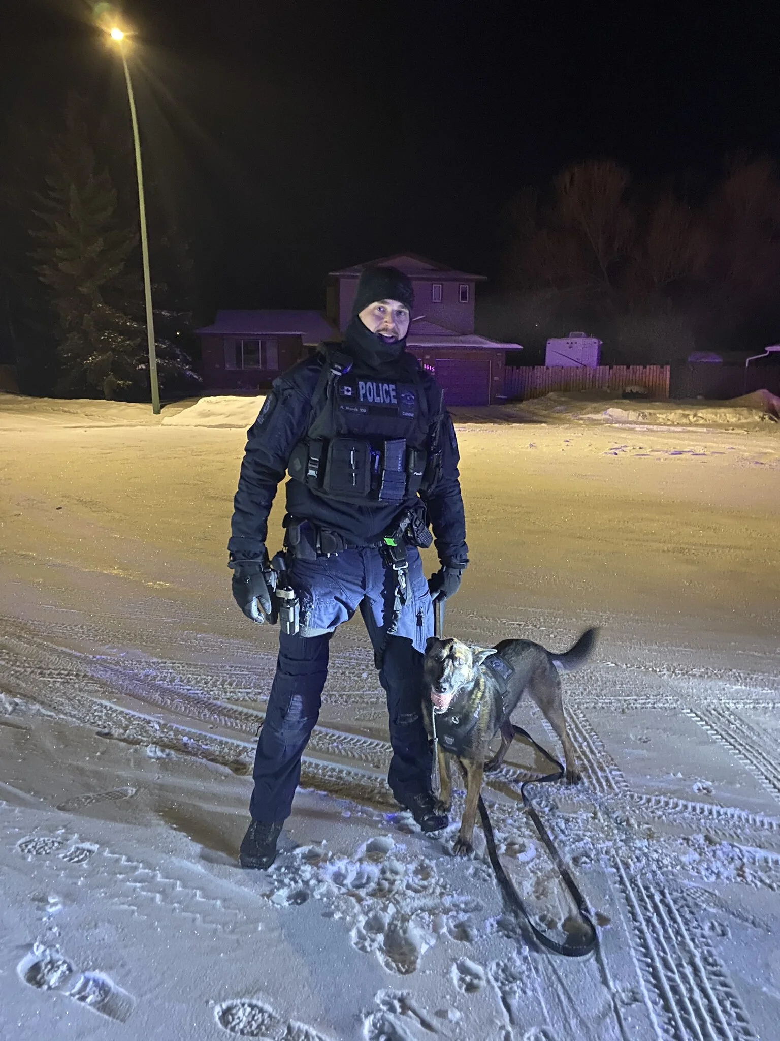 K9 Unit Captures Suspect Who Allegedly Fled A Stolen Vehicle