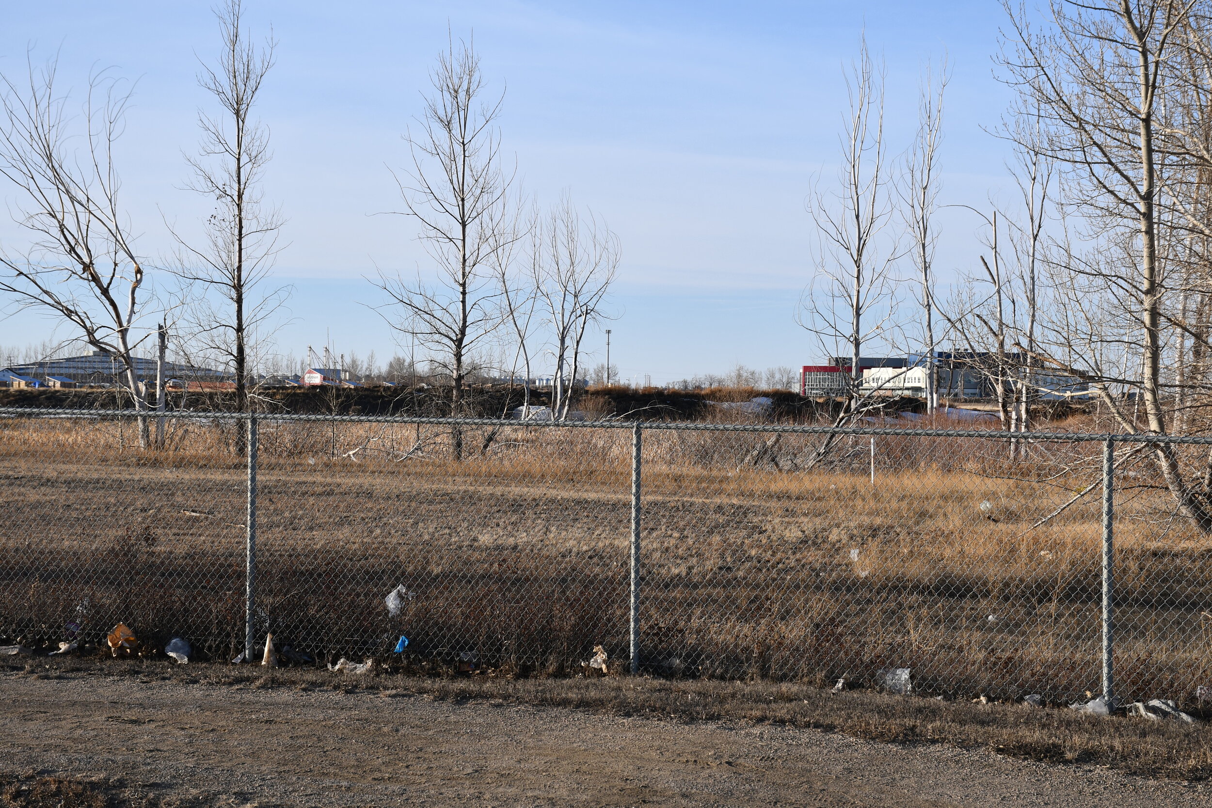 Canadian Tire Deal Set To Finalize