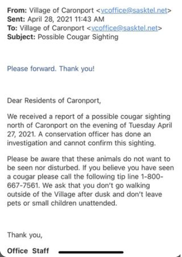 Village Issues Email About Possible But Unconfirmed Cougar Sighting