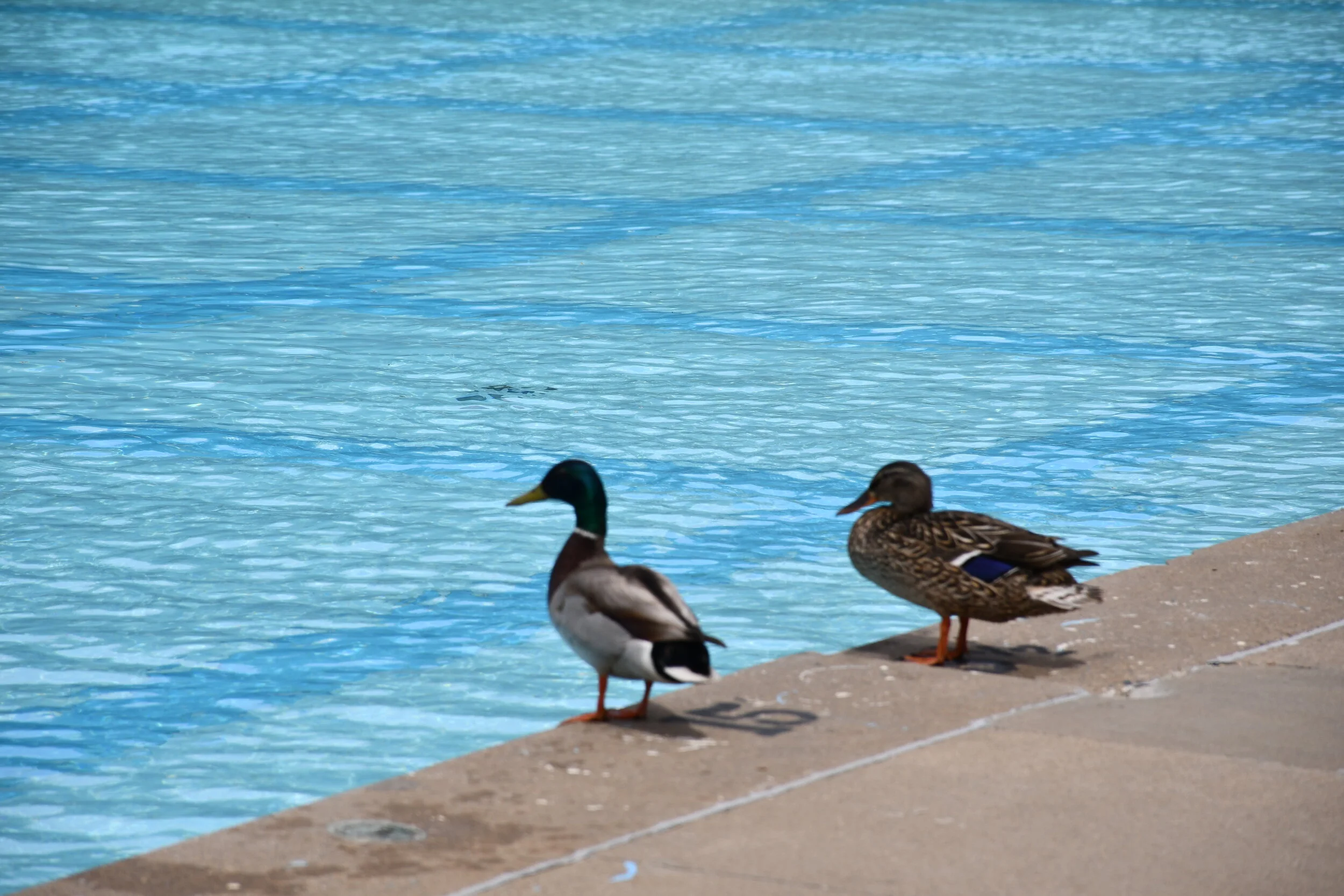 Outdoor Set To Re-Open Tomorrow After Nearly Two Years