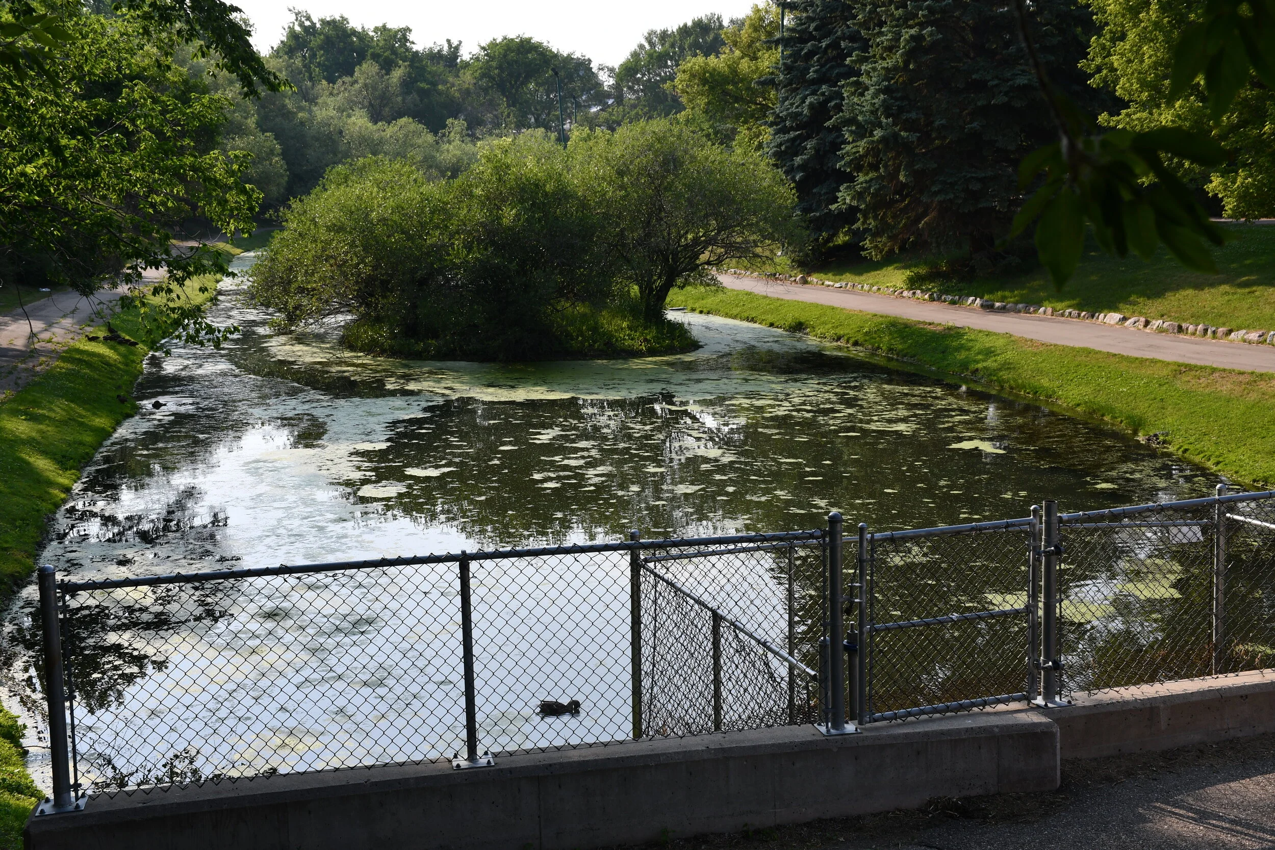 Enquiry Asked About State Of Crescent Park Serpentine