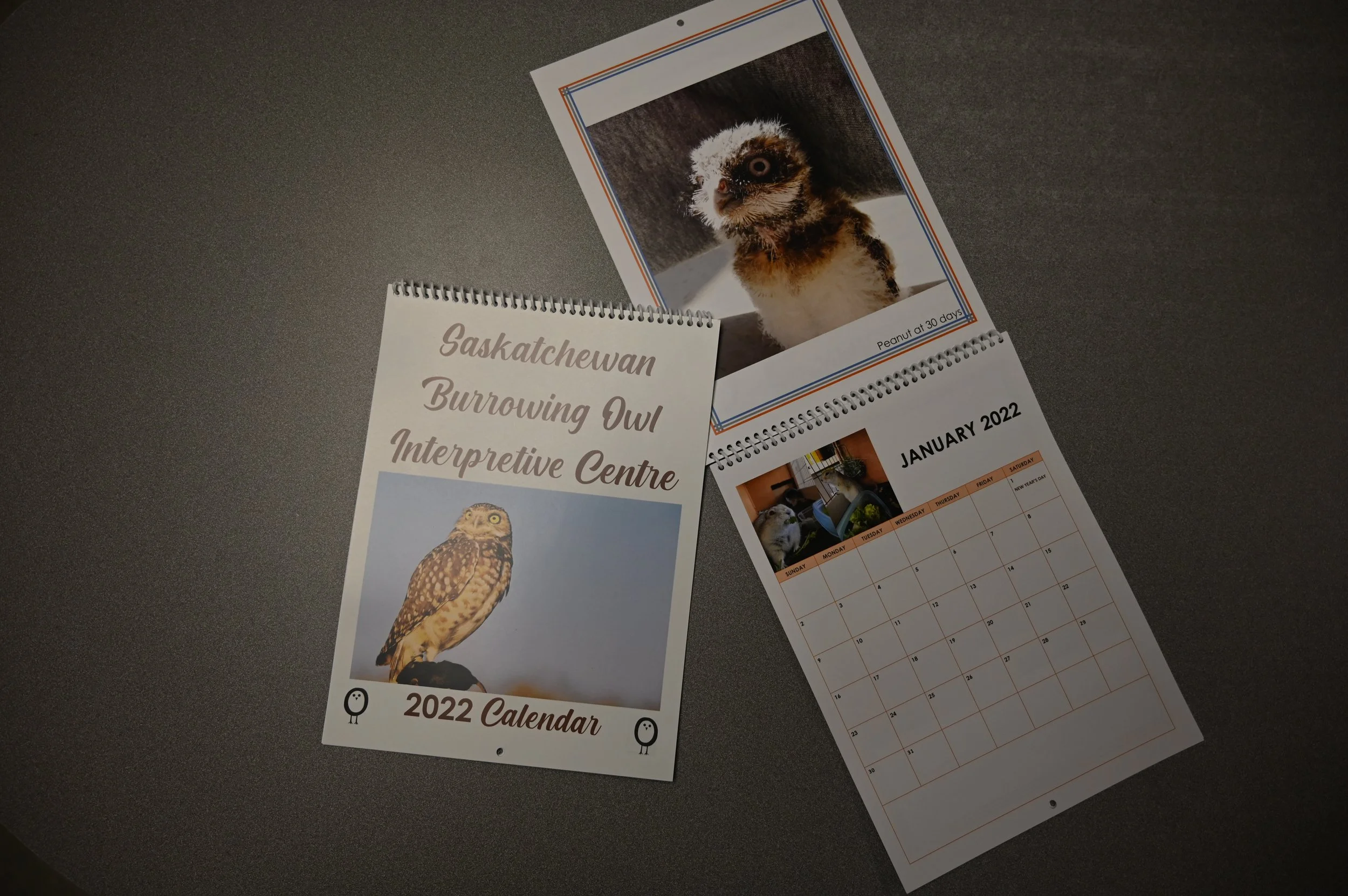 Popular Local Calendar Returns For Another Year 