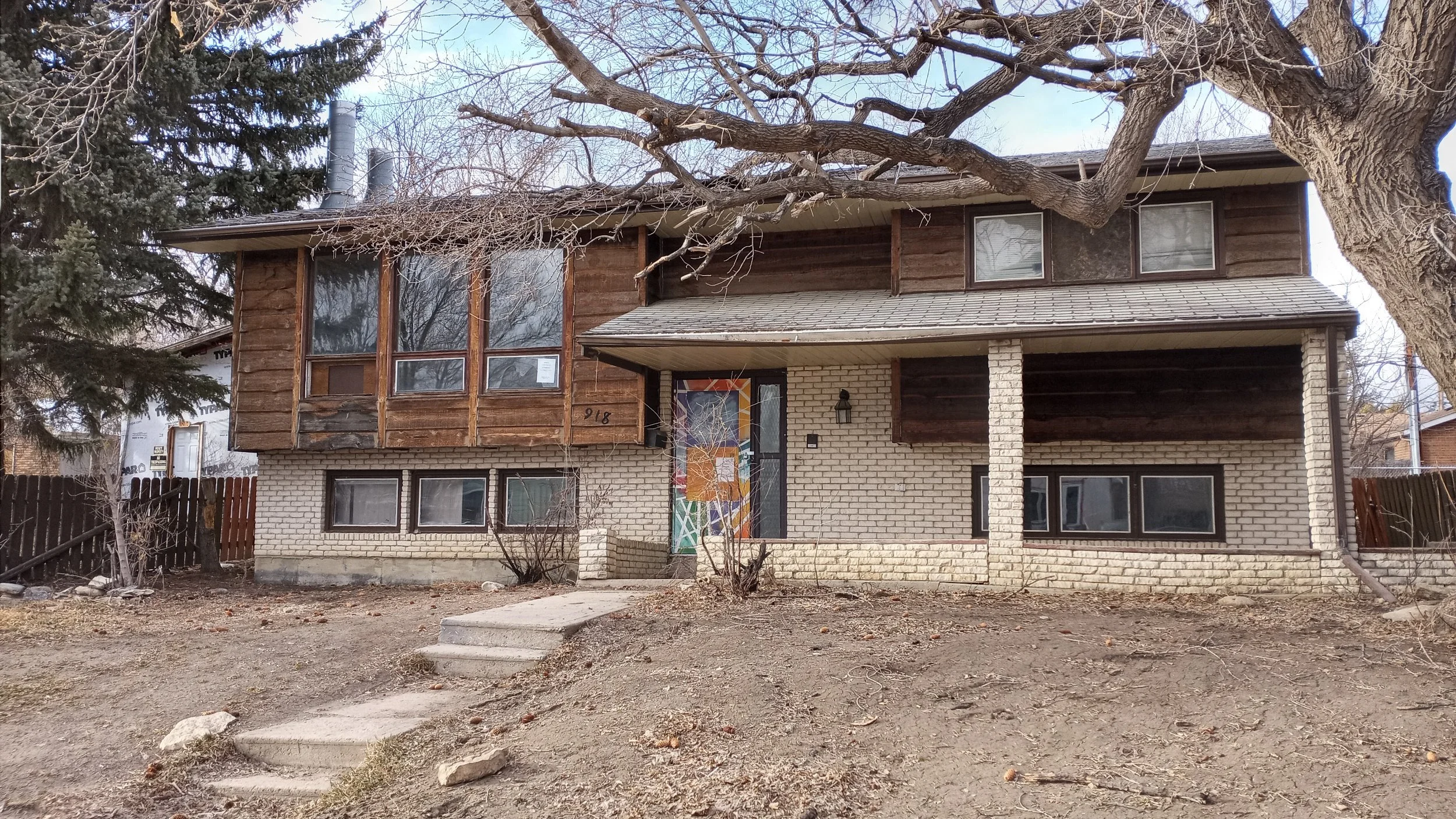 Gellert Pleads Guilty To Animal Abuse