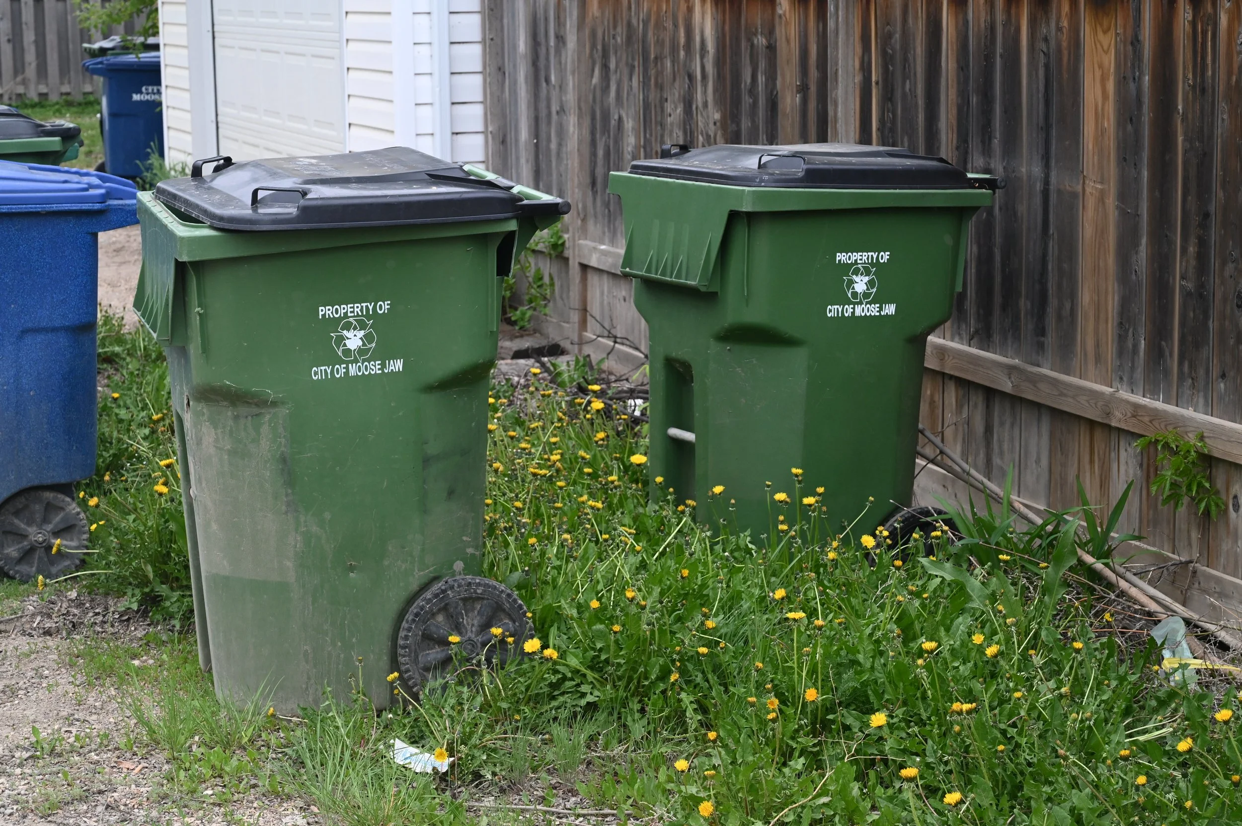 Weekly Residential Garbage Collection Starts June 1st