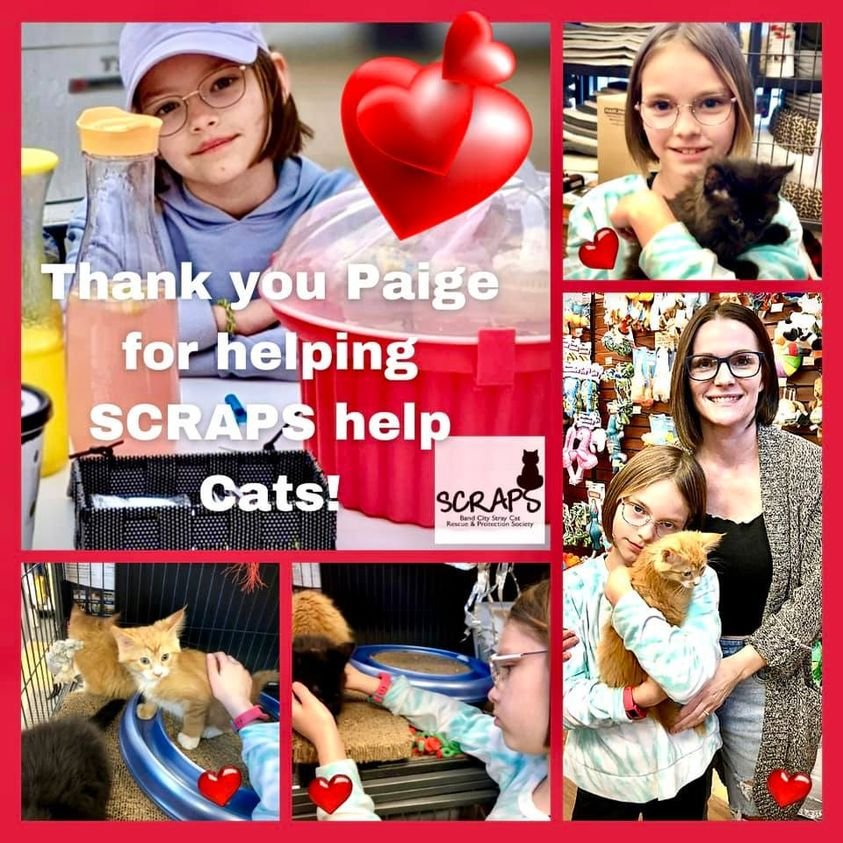 Two Nine Year Olds Sell Lemonade To Help SCRAPS