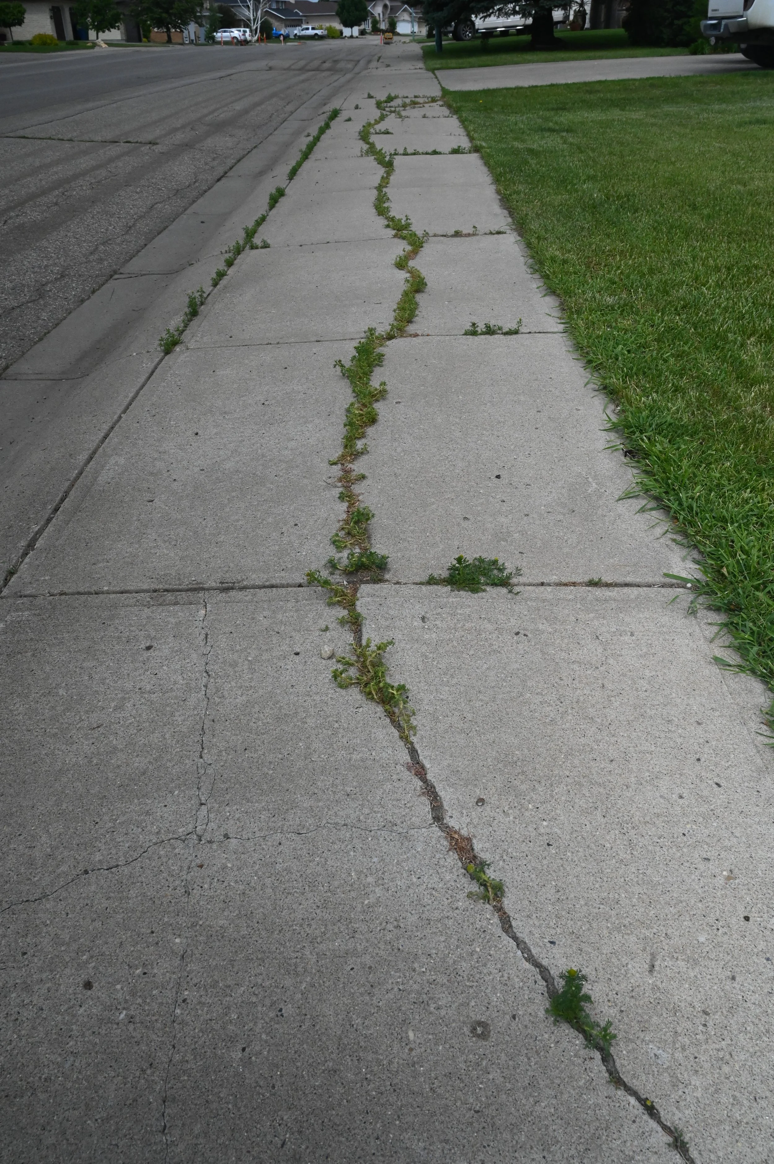 Question Asked About Shifitng Sidewalks In Sunningdale