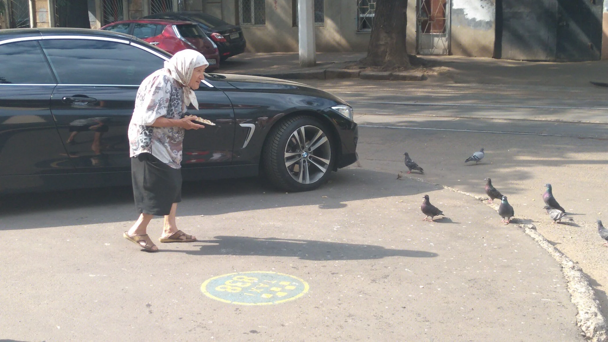 Question Asked About Targeting Pigeons