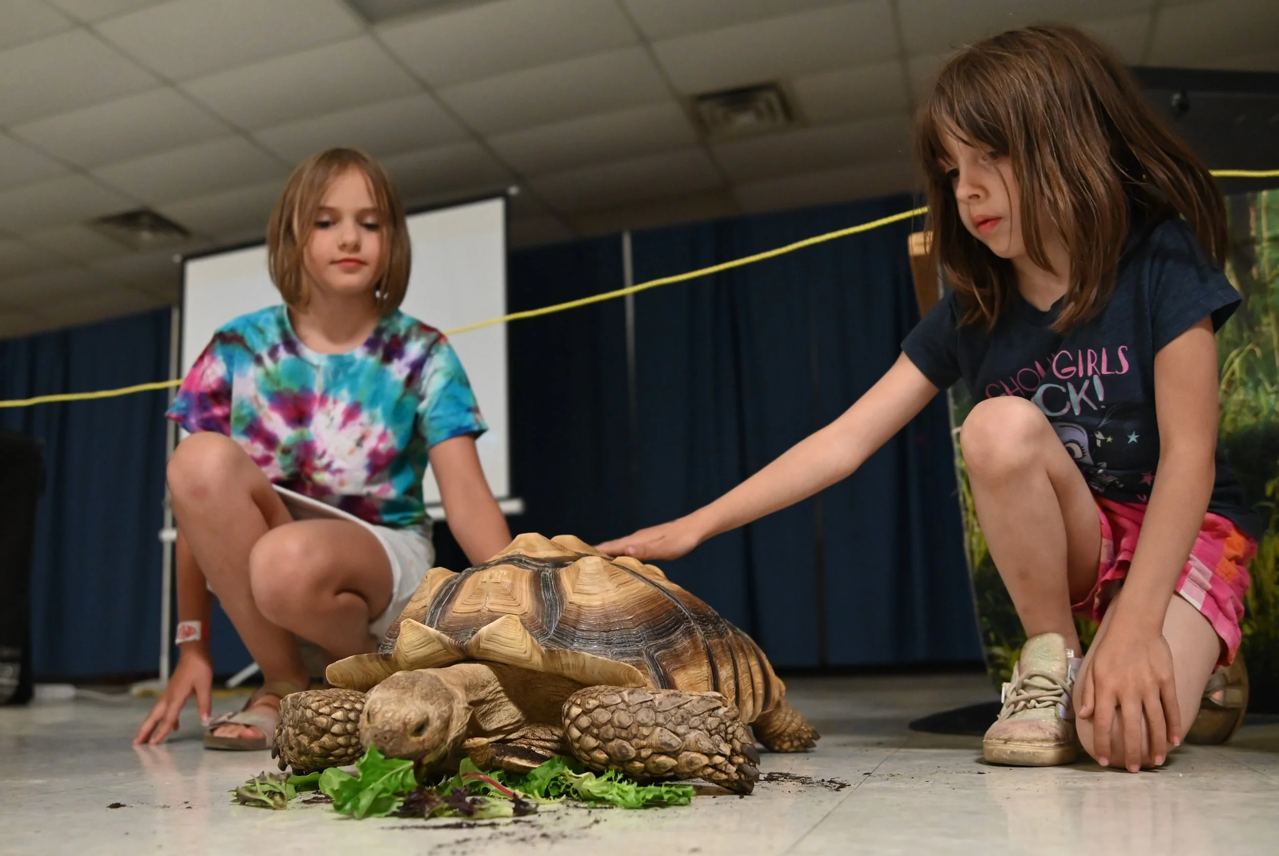 Crikey Reptiles, Amphibians And Dinosaurs Are At The Hometown Fair