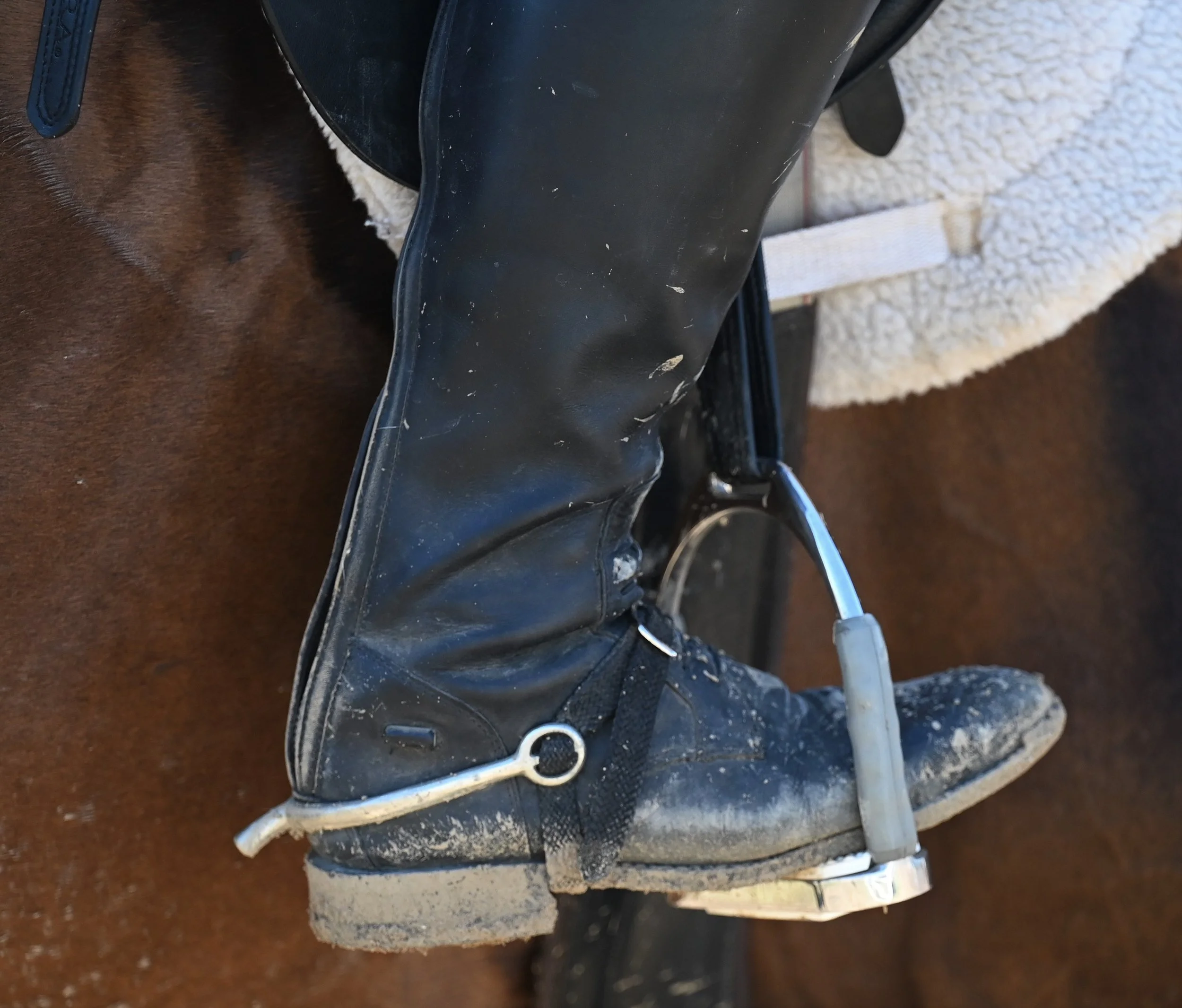 Equestrians On Display - Photo Essay