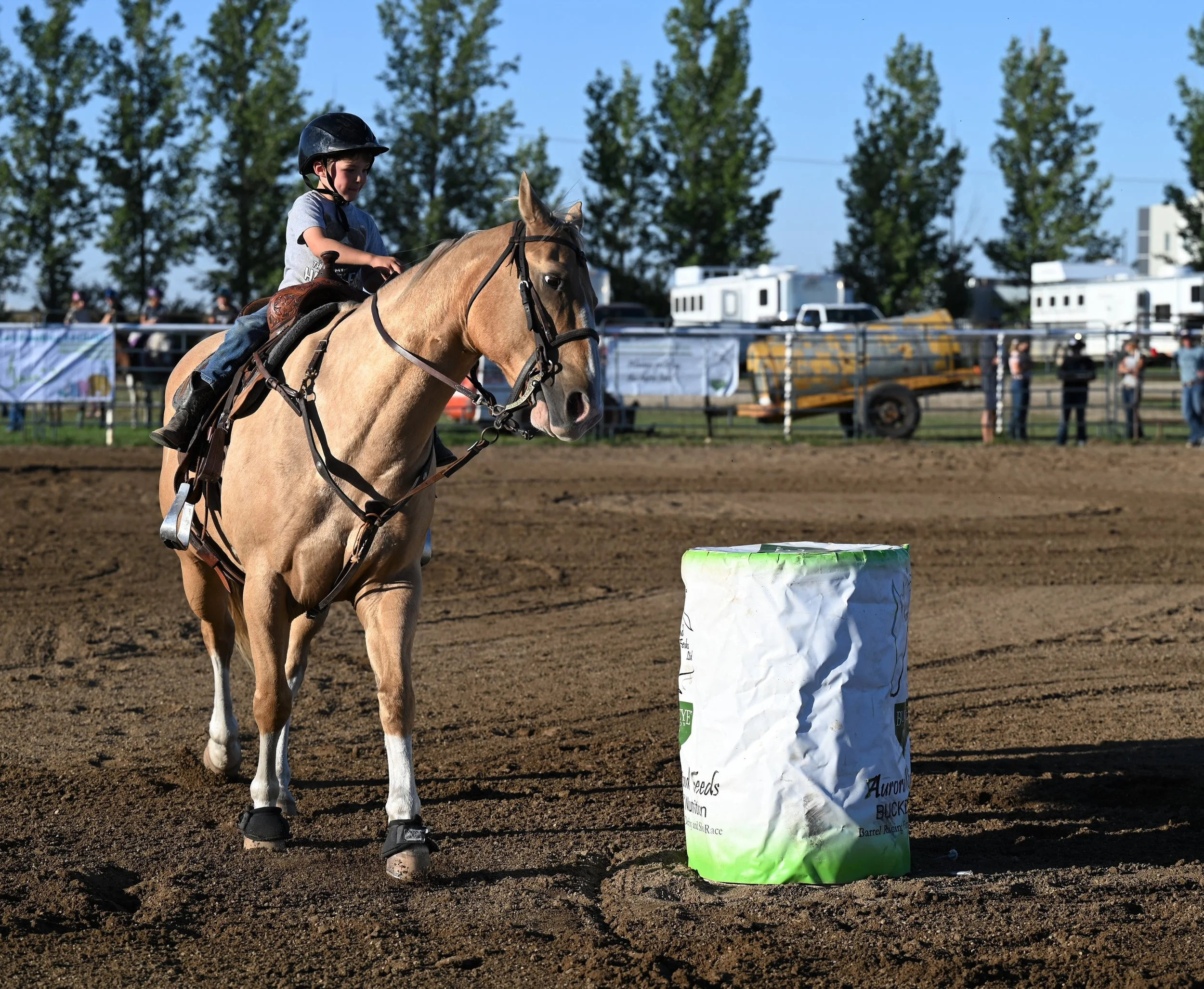 Quarter Horses And Barrels - Photo Essay
