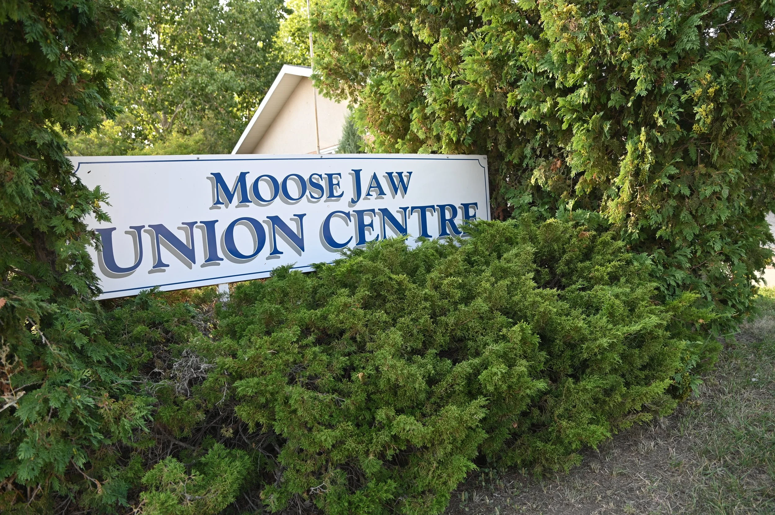 Labour Council To Host Free Labour Day Barbecue Open To All