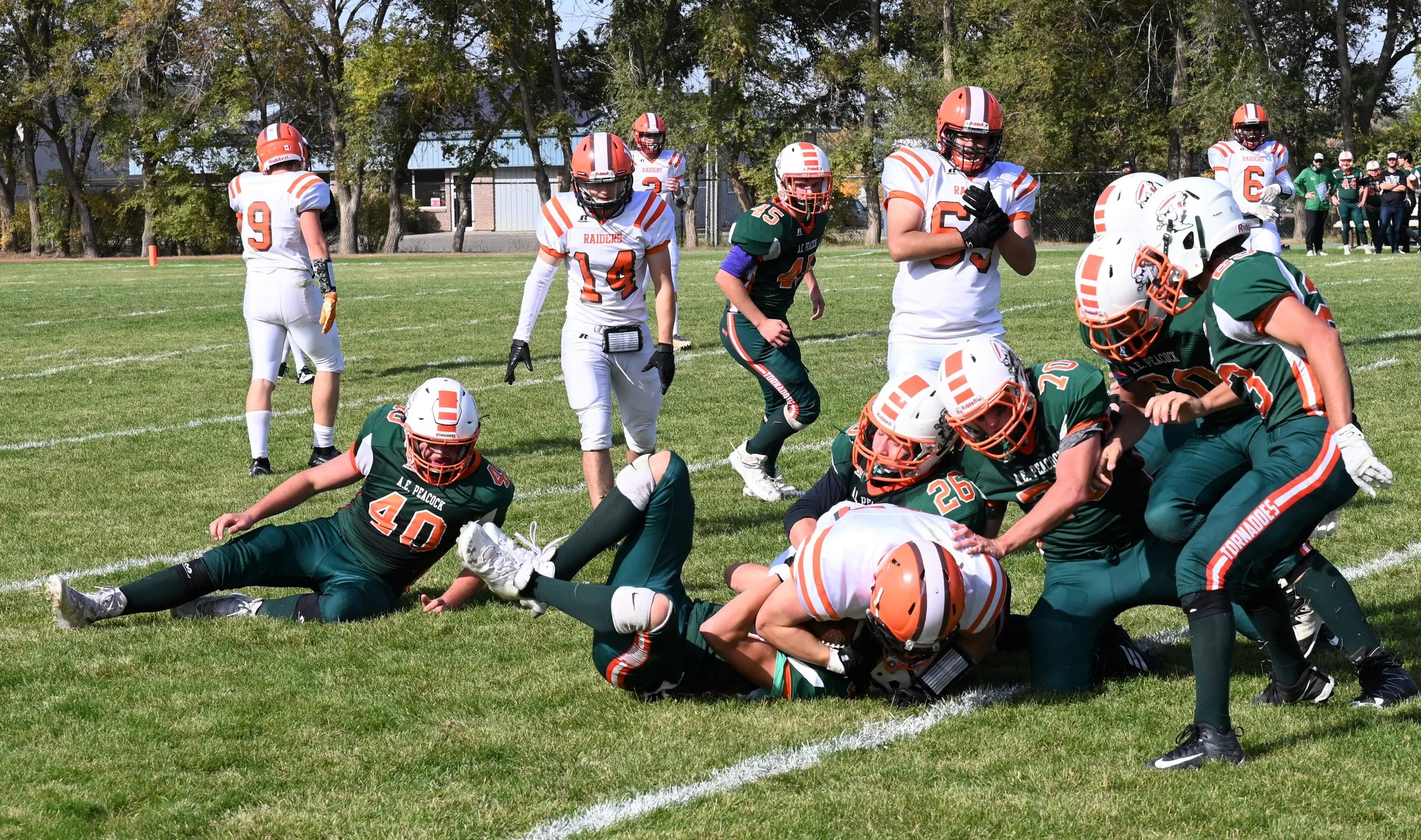 Yorkton Upends Peacock