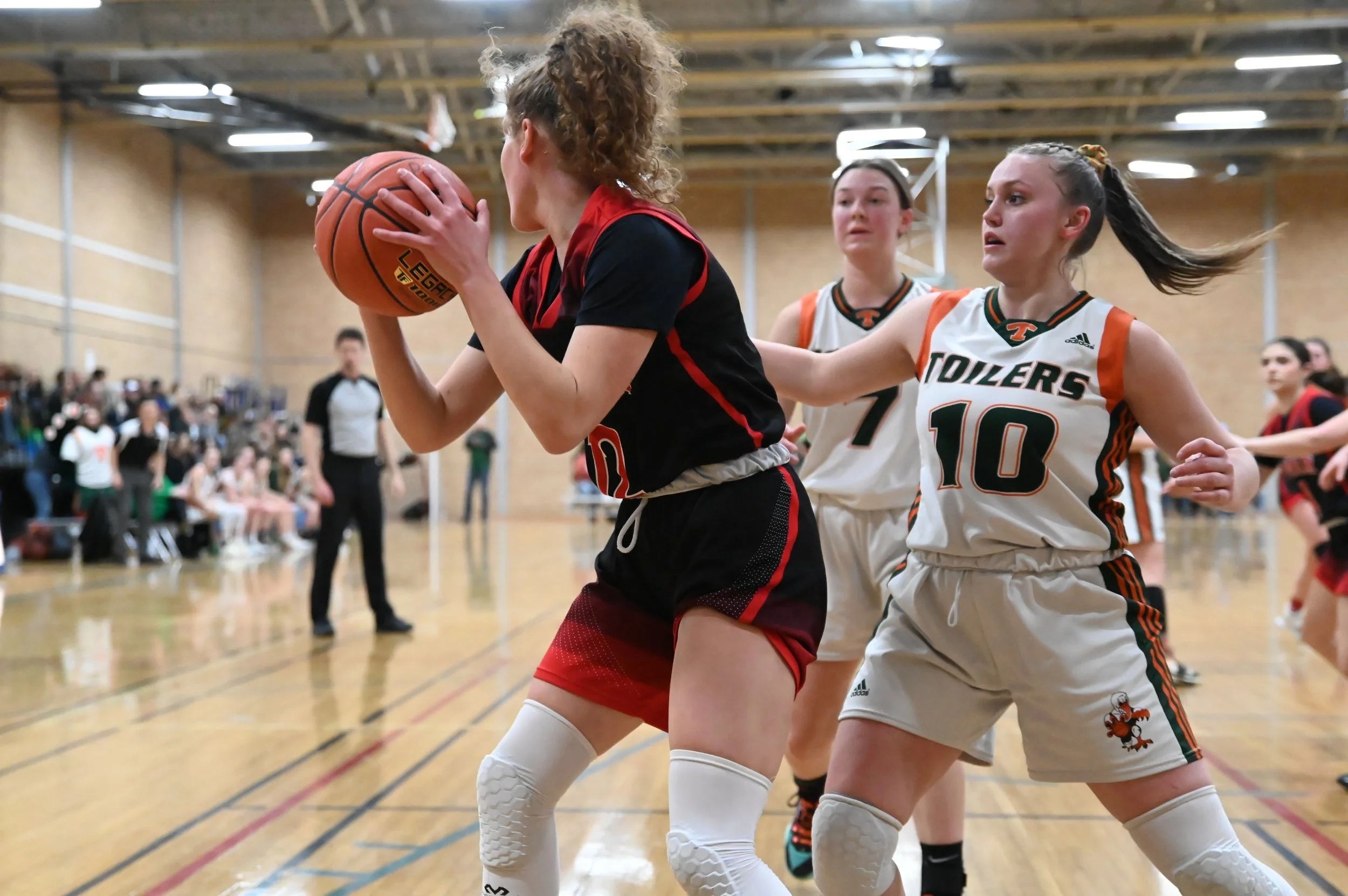 Senior Basketball Regionals Invade Moose Jaw Friday And Saturday