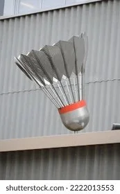 High School Badminton Birdie Begins