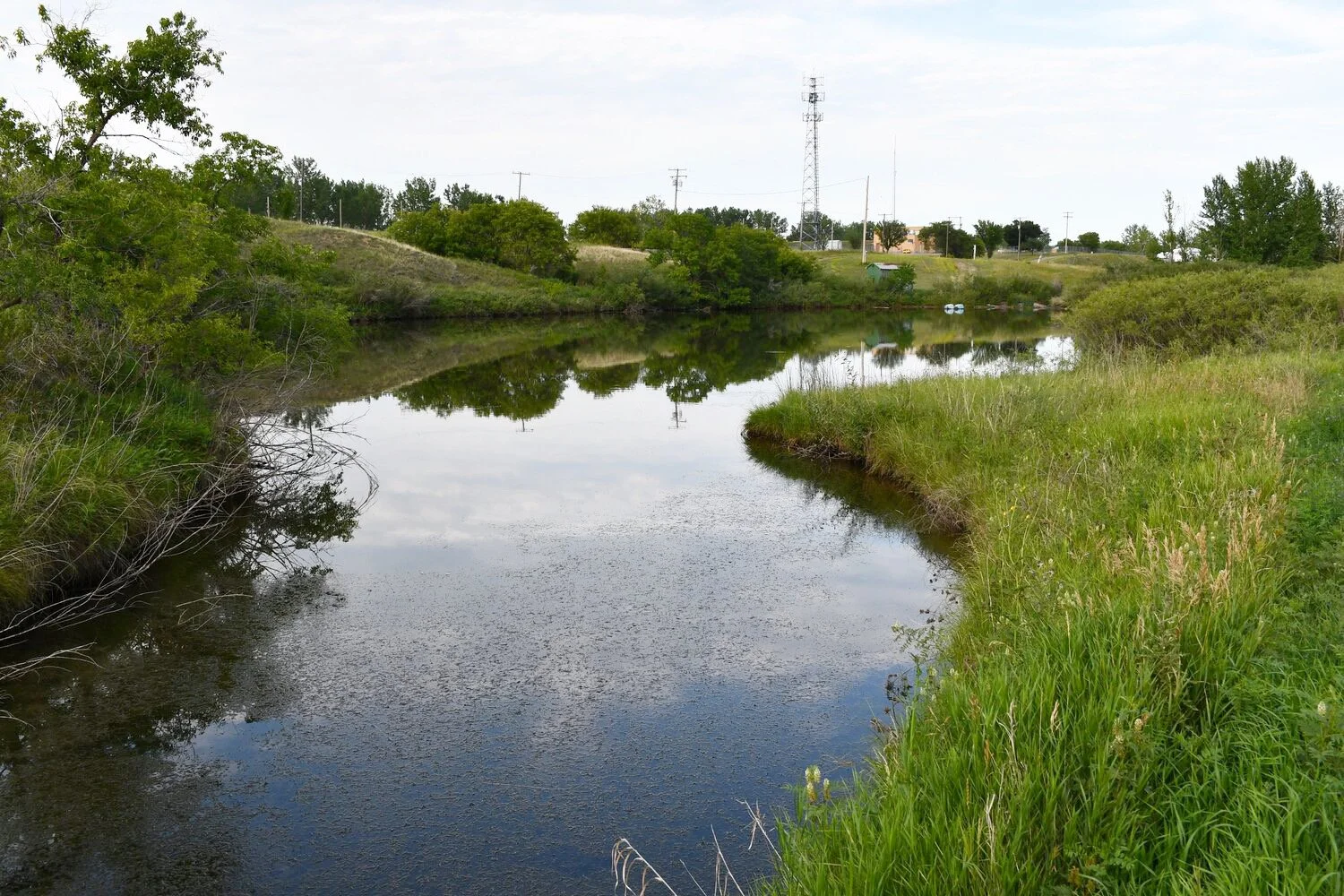 Golf Courses Claim Misunderstanding, Tight Budgets While Tossing In Greenery To Win Cost Sharing Agreement