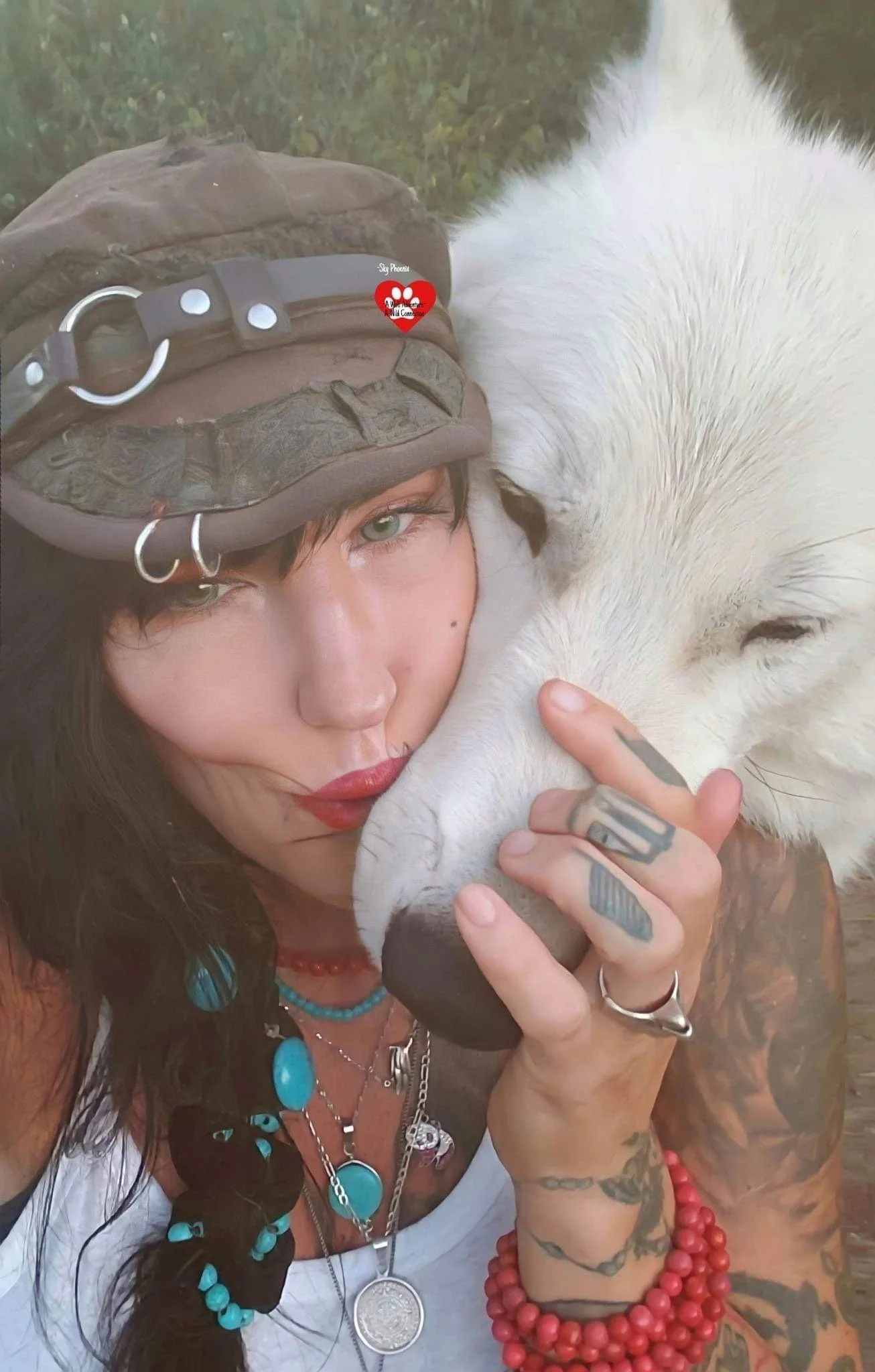 Wolves Bad Rep Leads To Their Being Unnecessarily Hunted Conservationist Says