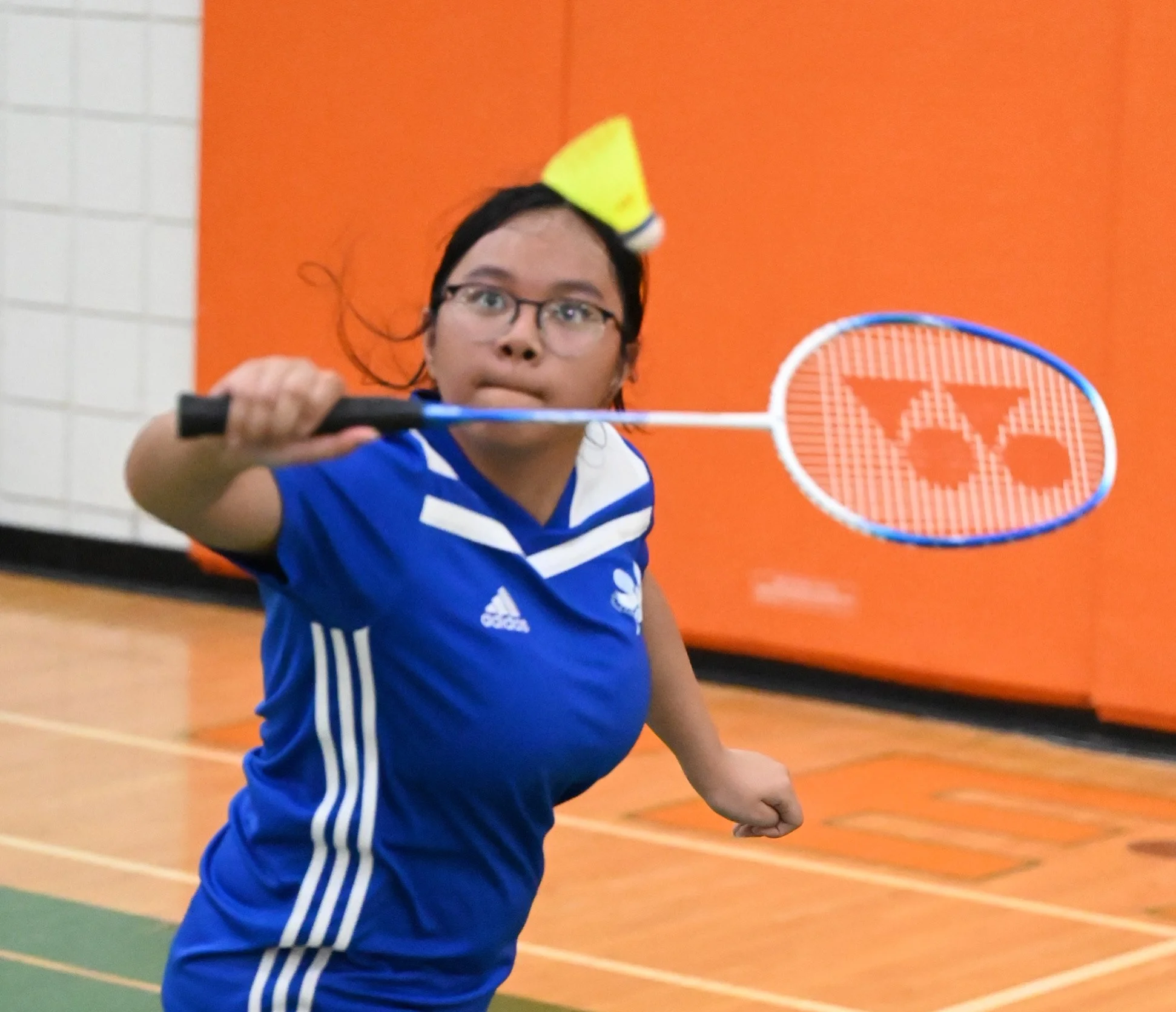 District Badminton Playdowns Held On Saturday