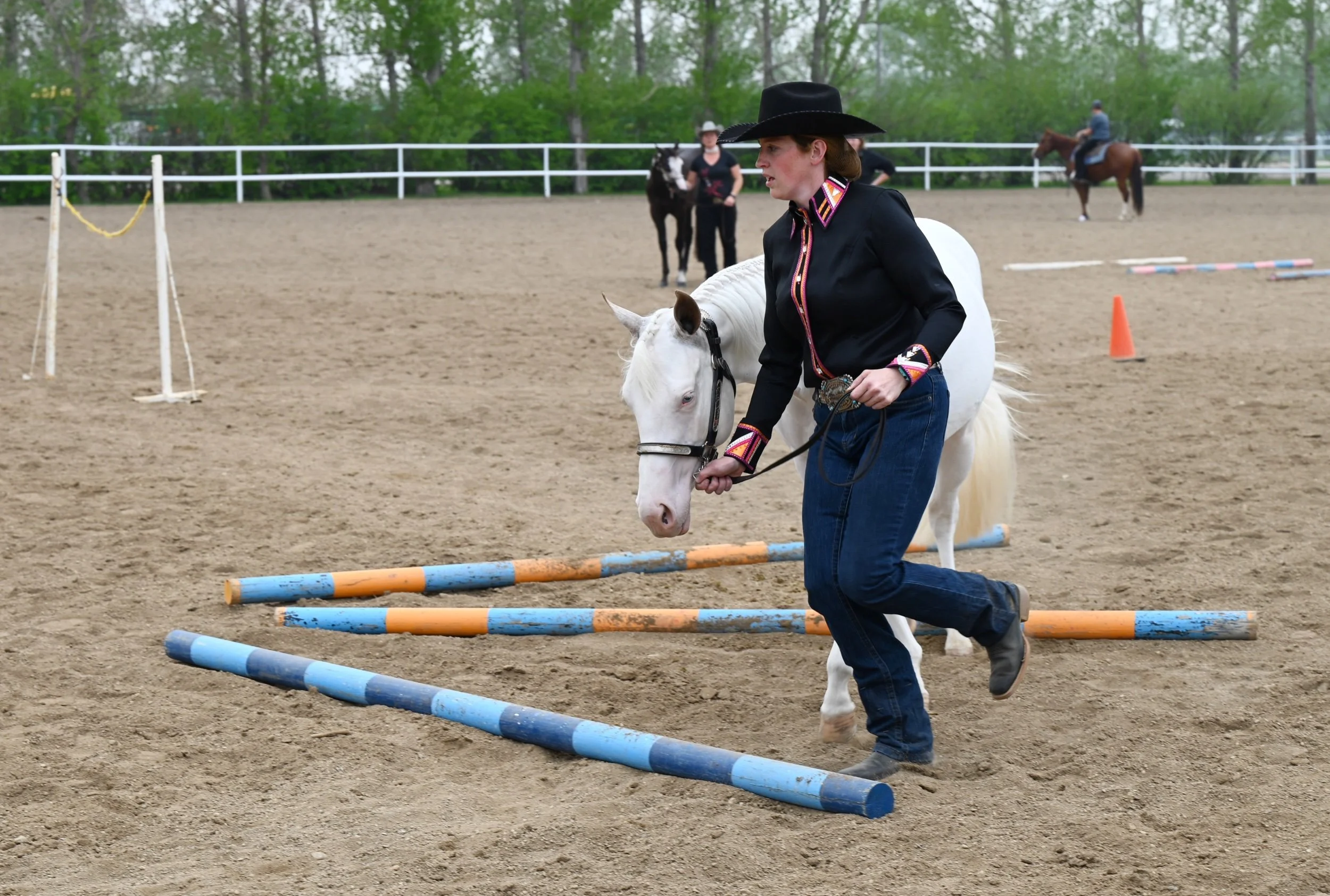Saskatchewan Quarter Horse Association Holding Show