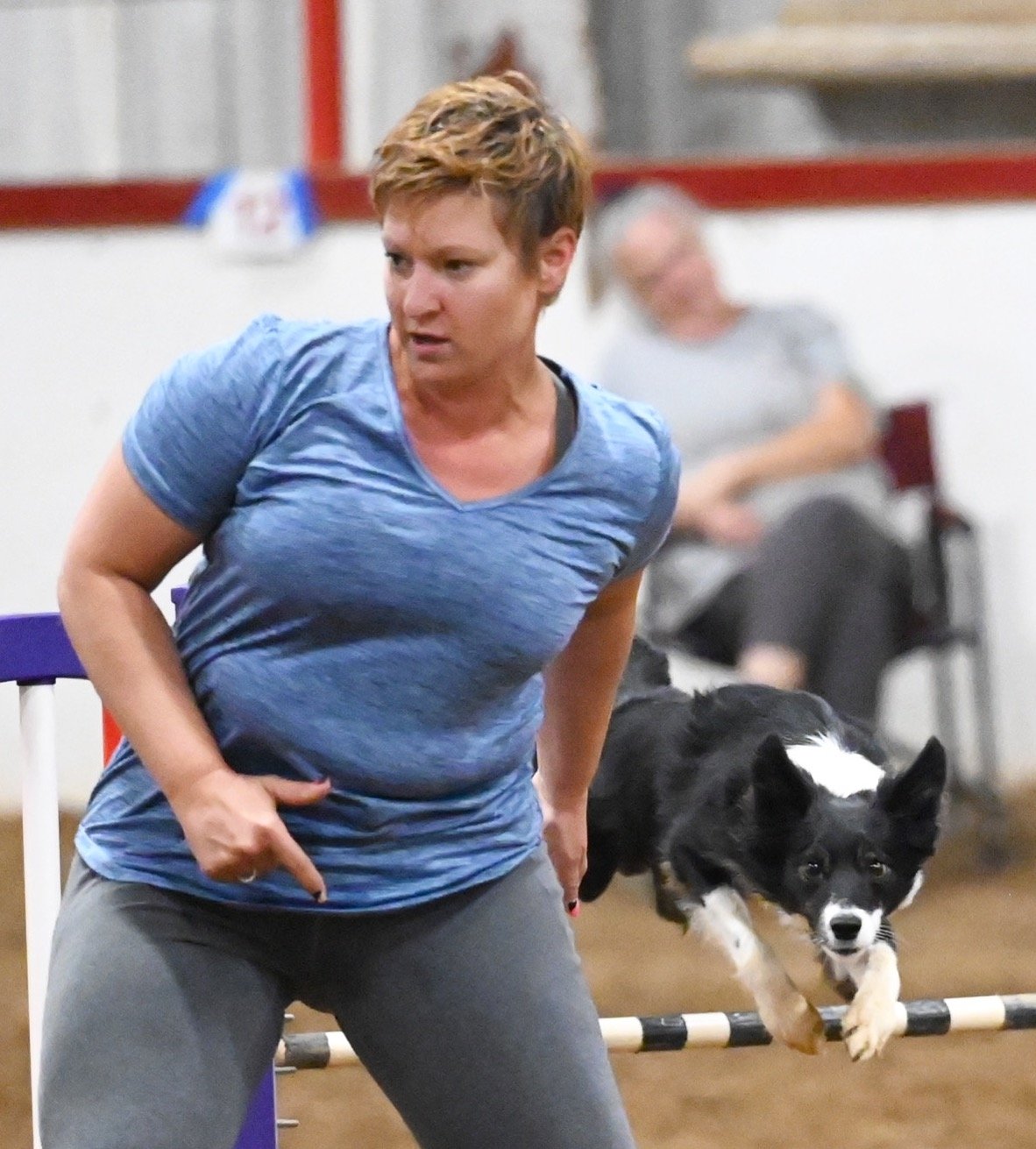 Agility Dogs Show Their Best - Photo Story