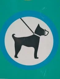 Councillor Asks Questions About Dog Bylaw And Puppies