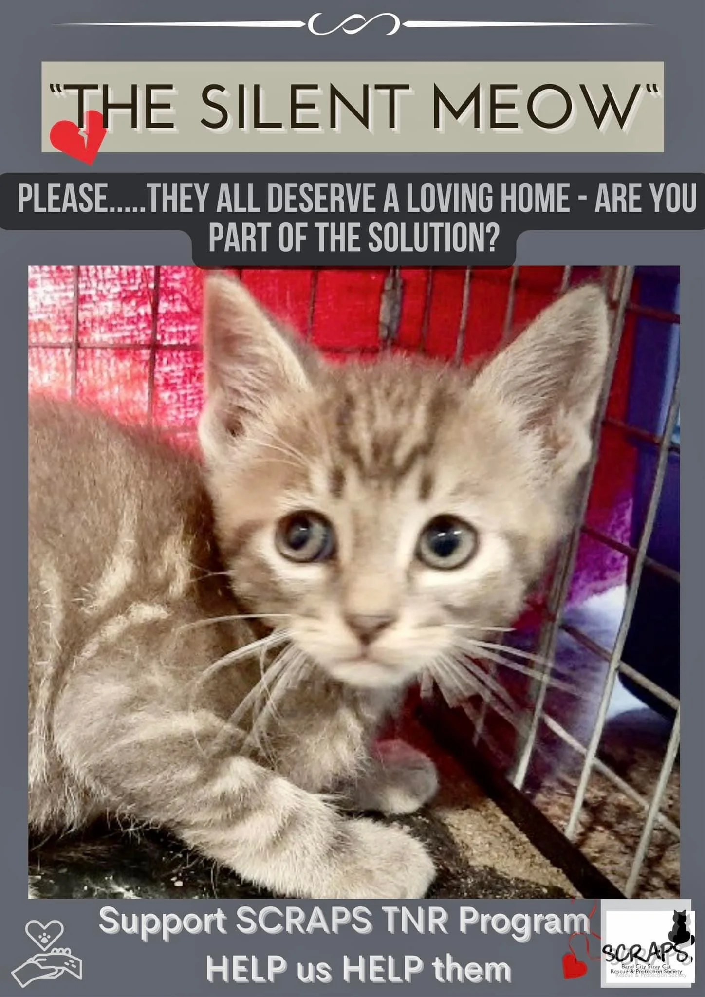 SCRAPS - Please Be Responsible Pet Owners