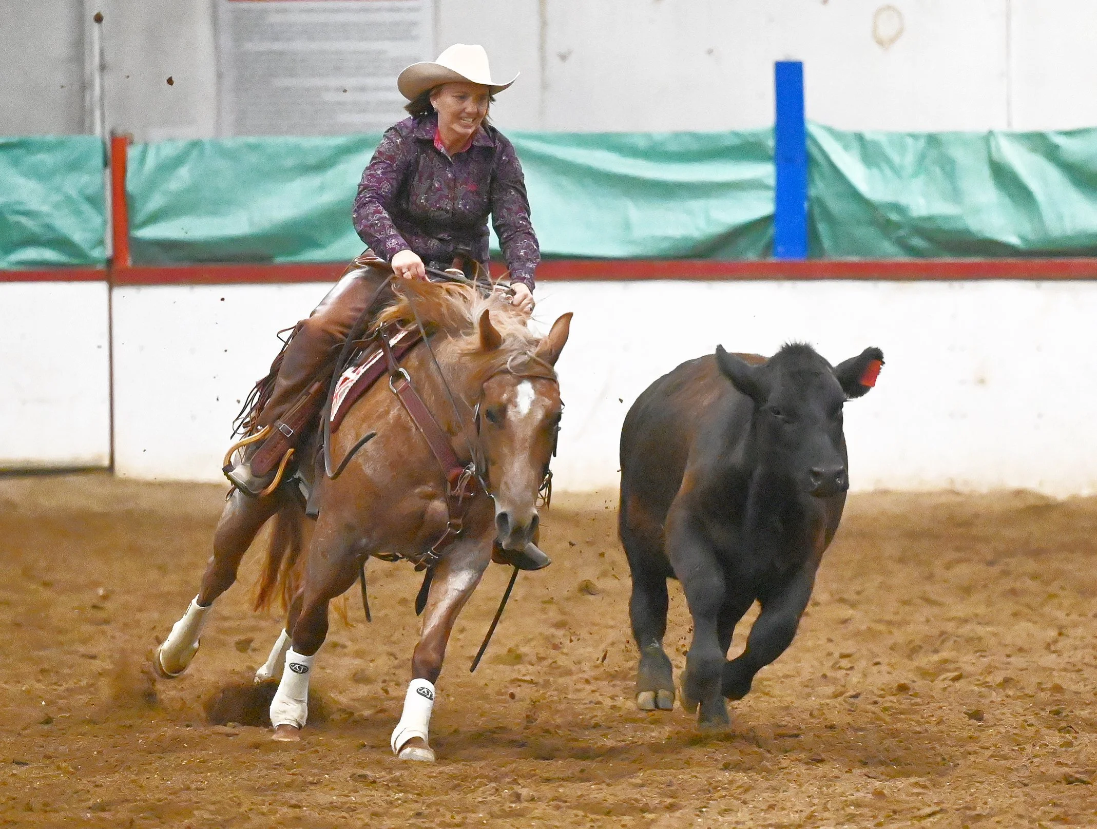 Four Lakes Reined Cowhorse Show On This Weekend