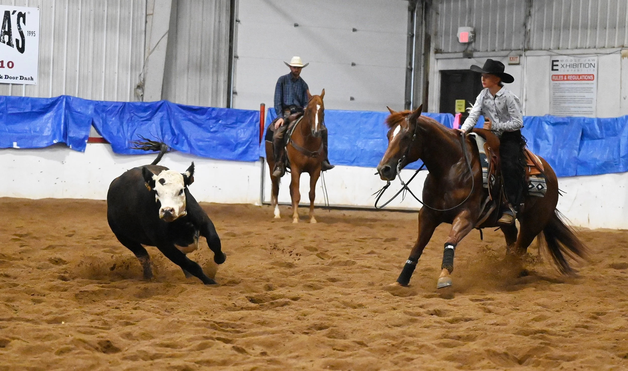 Cutting: The Art Of Keeping A Cow Away From Their Buddies In Style