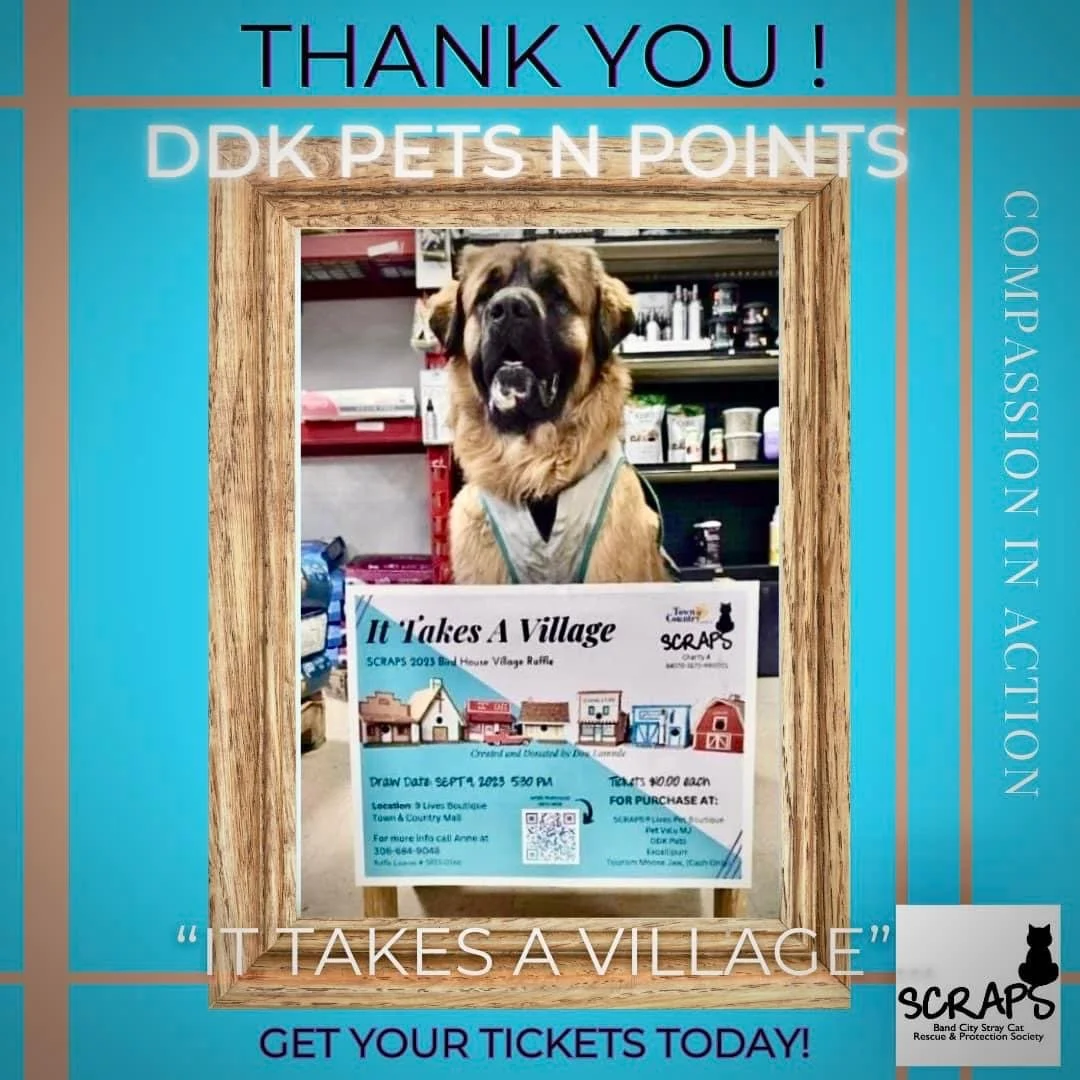 DDK Pets One Of Many Businesses Offering SCRAPS Birdhouse Raffle Tickets
