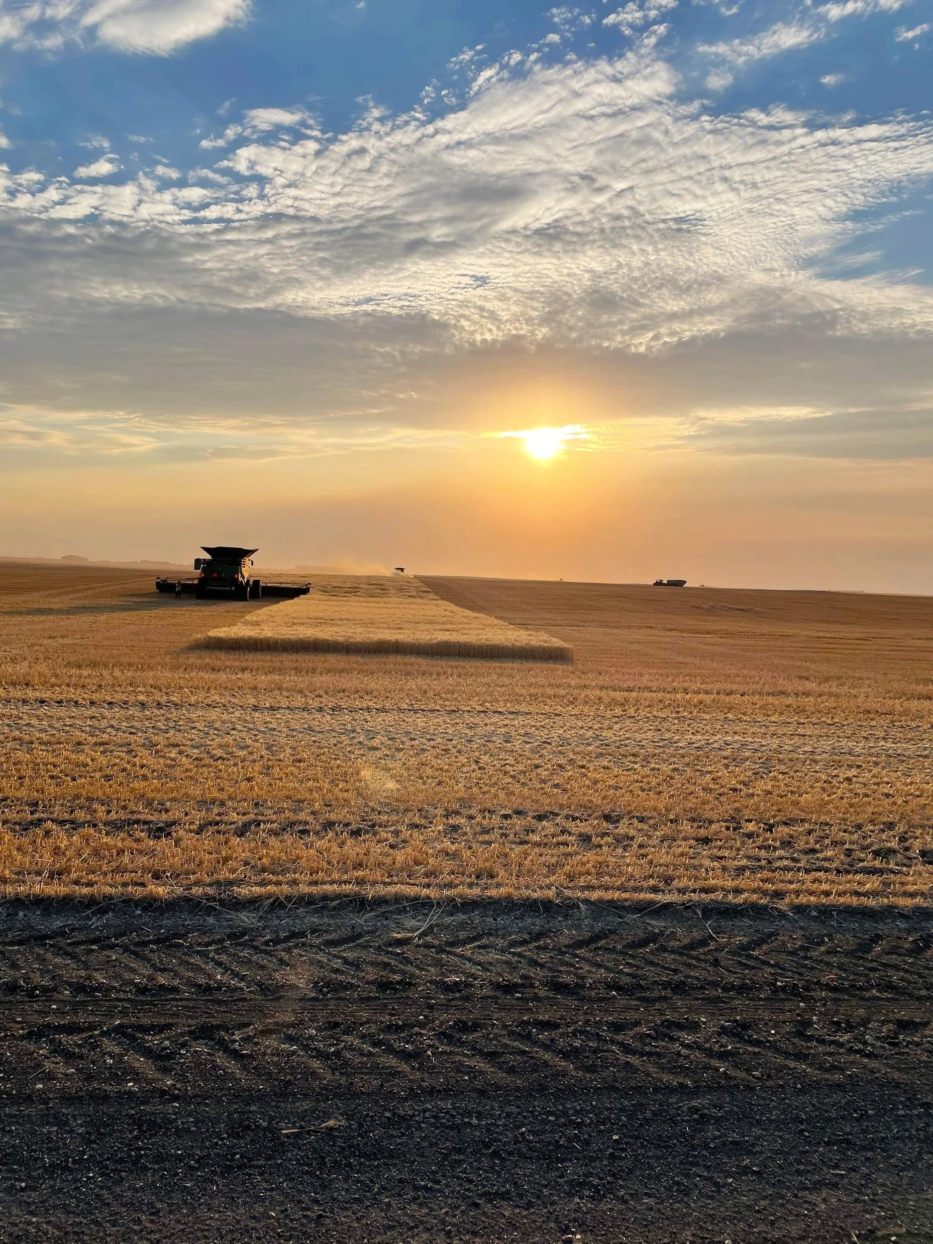 Harvest Photos And Wishes - Reader Submission