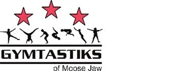 Gymtastiks Fall Session Includes Traditional And New Cross Sport Sessions
