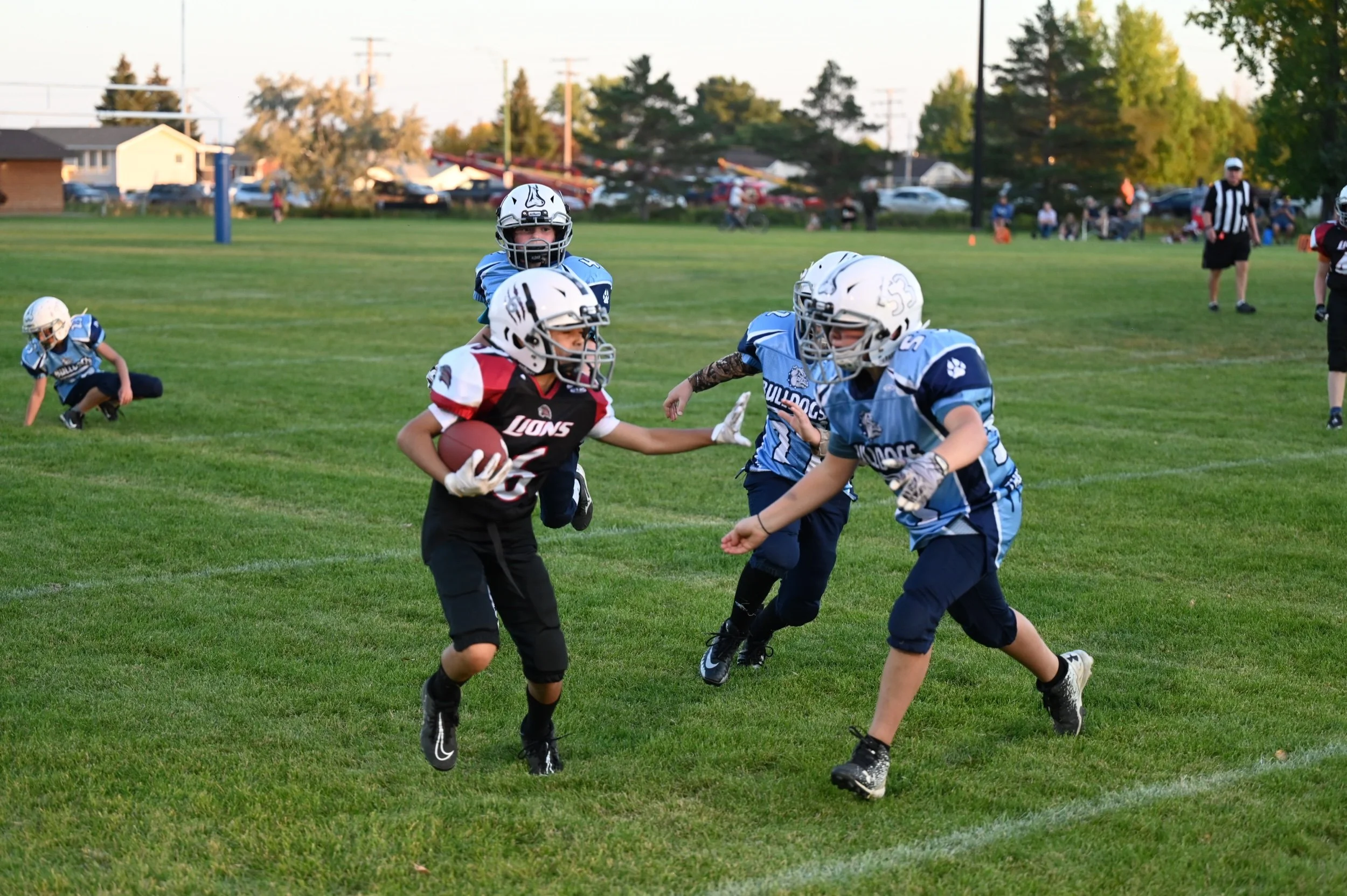 Bulldogs Bite The Lions Tail