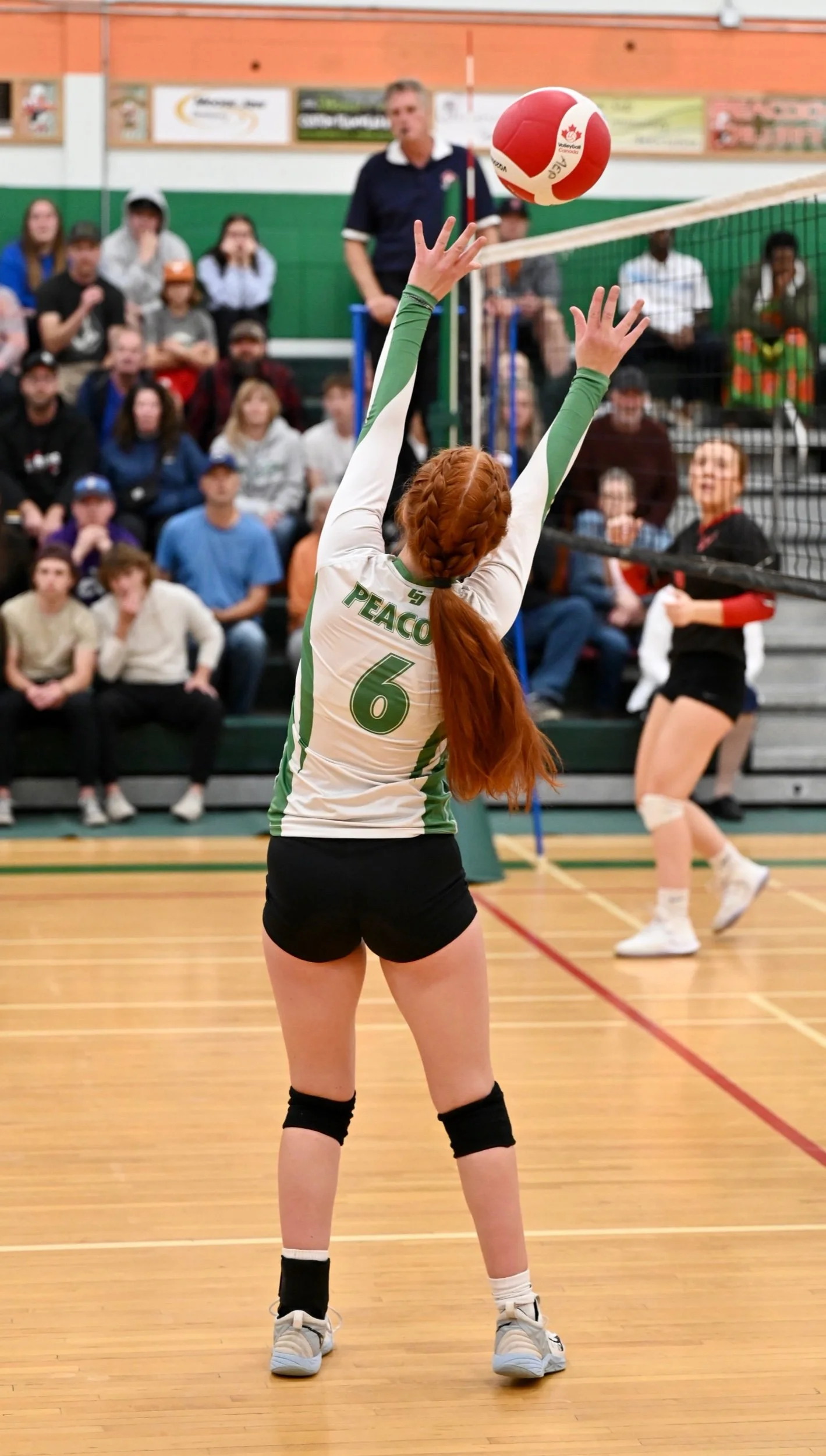 Toilers Triumph Over Hounds