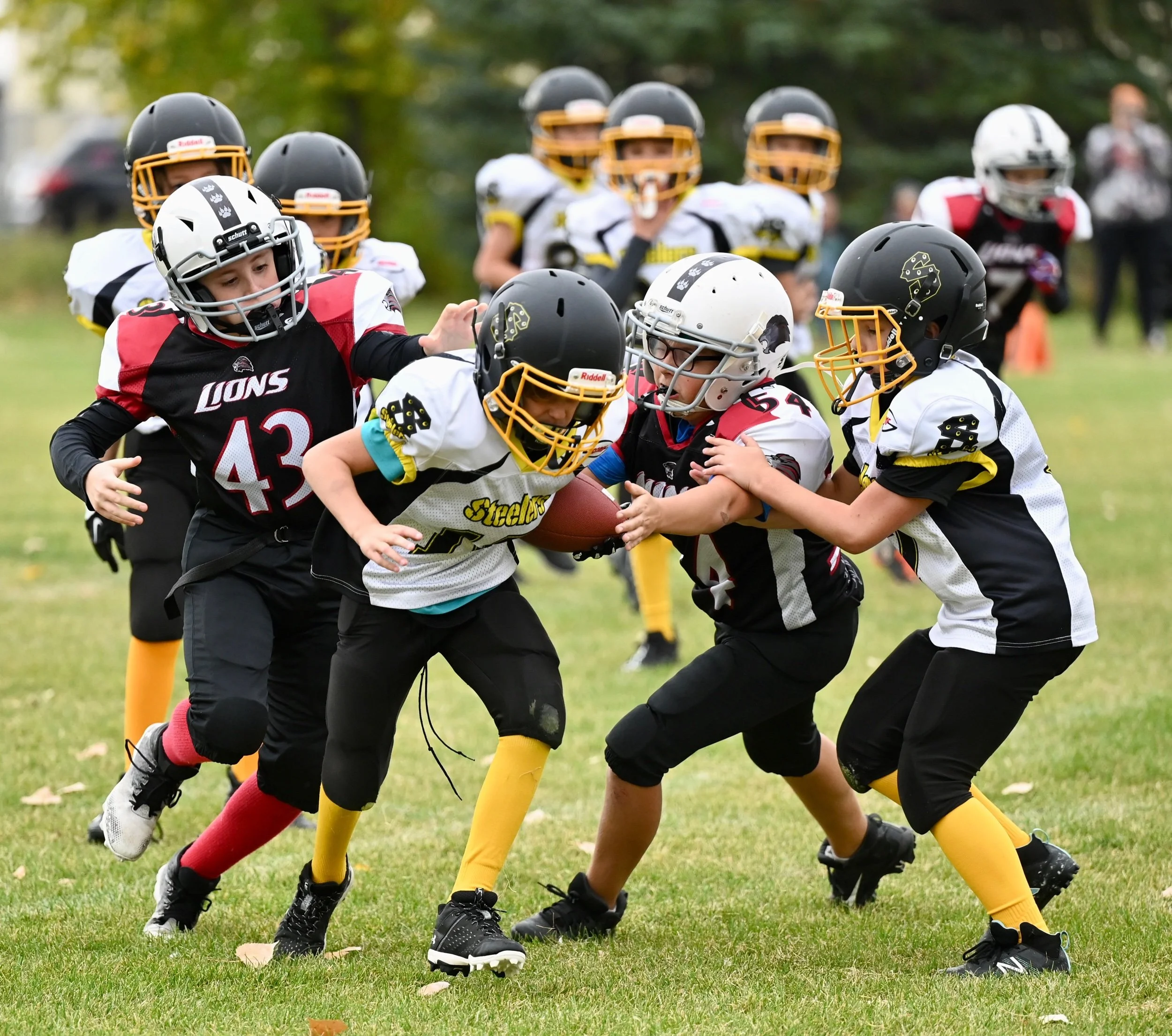 Lions Give Steelers A Run For All The Marbles - Photo Feature Game