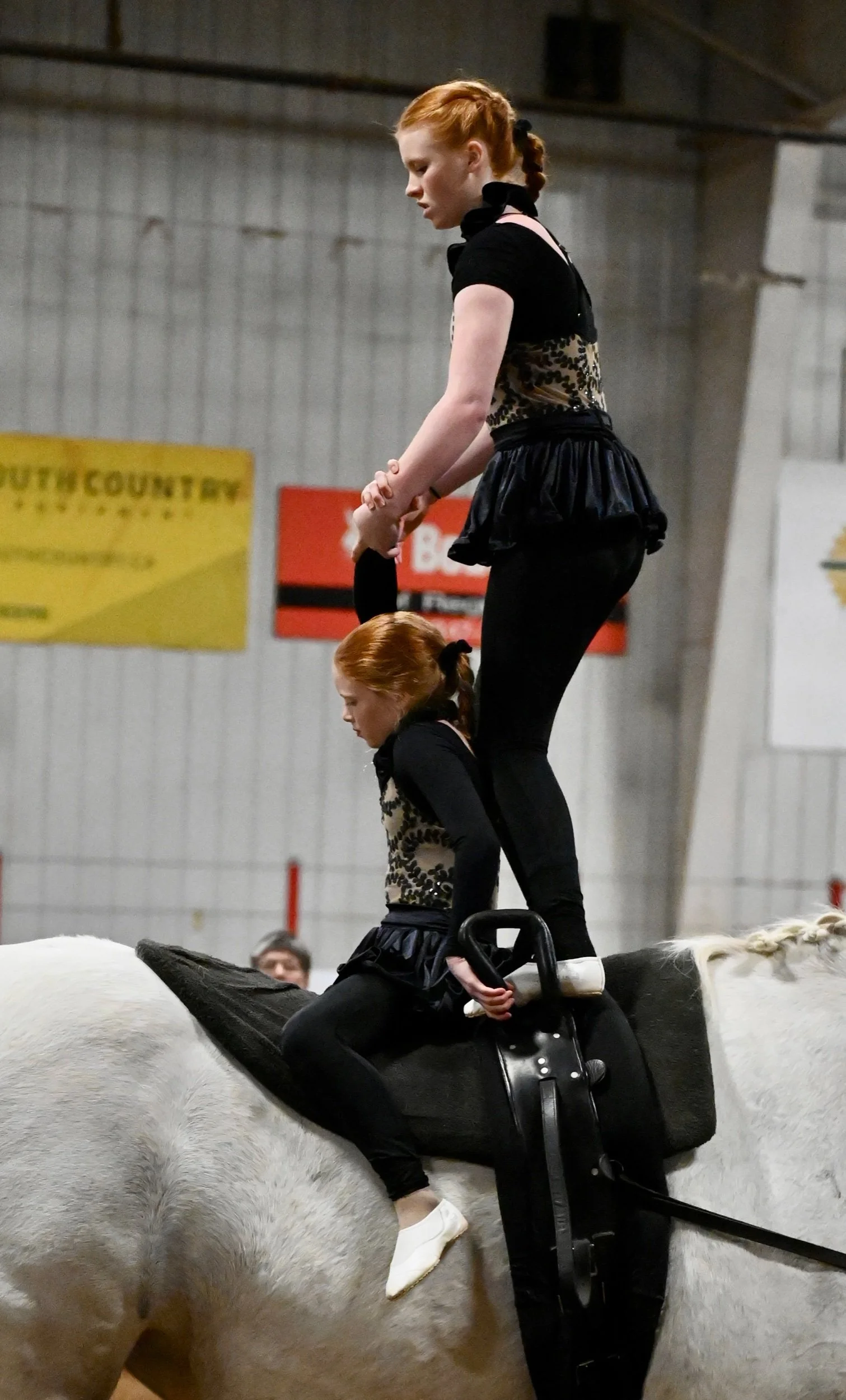 Equestrian Vaulting An Art Form On Horseback