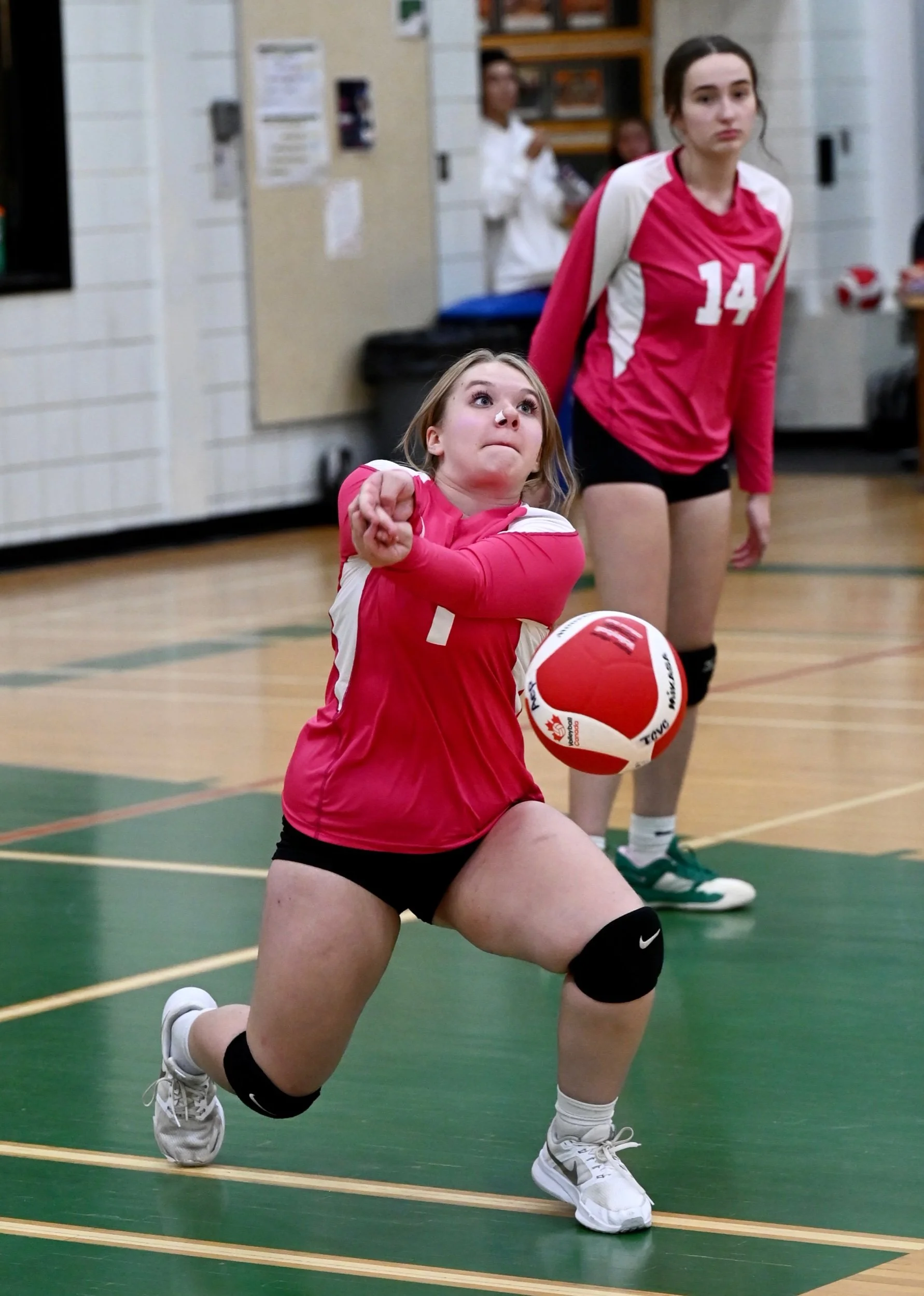 Talons Clash Out On The Court