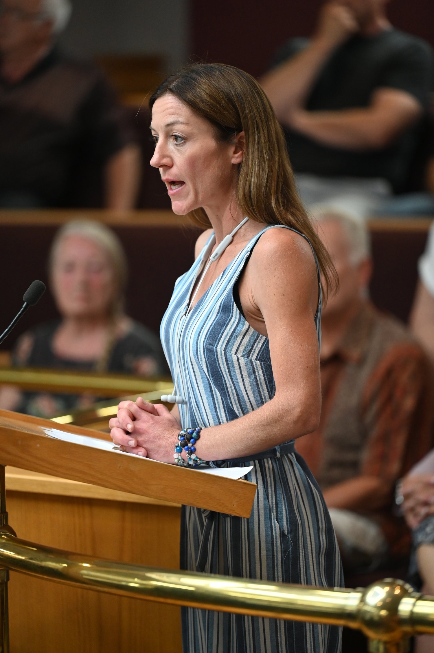 Presenter Asks Council To Take Action On Assessment Issue