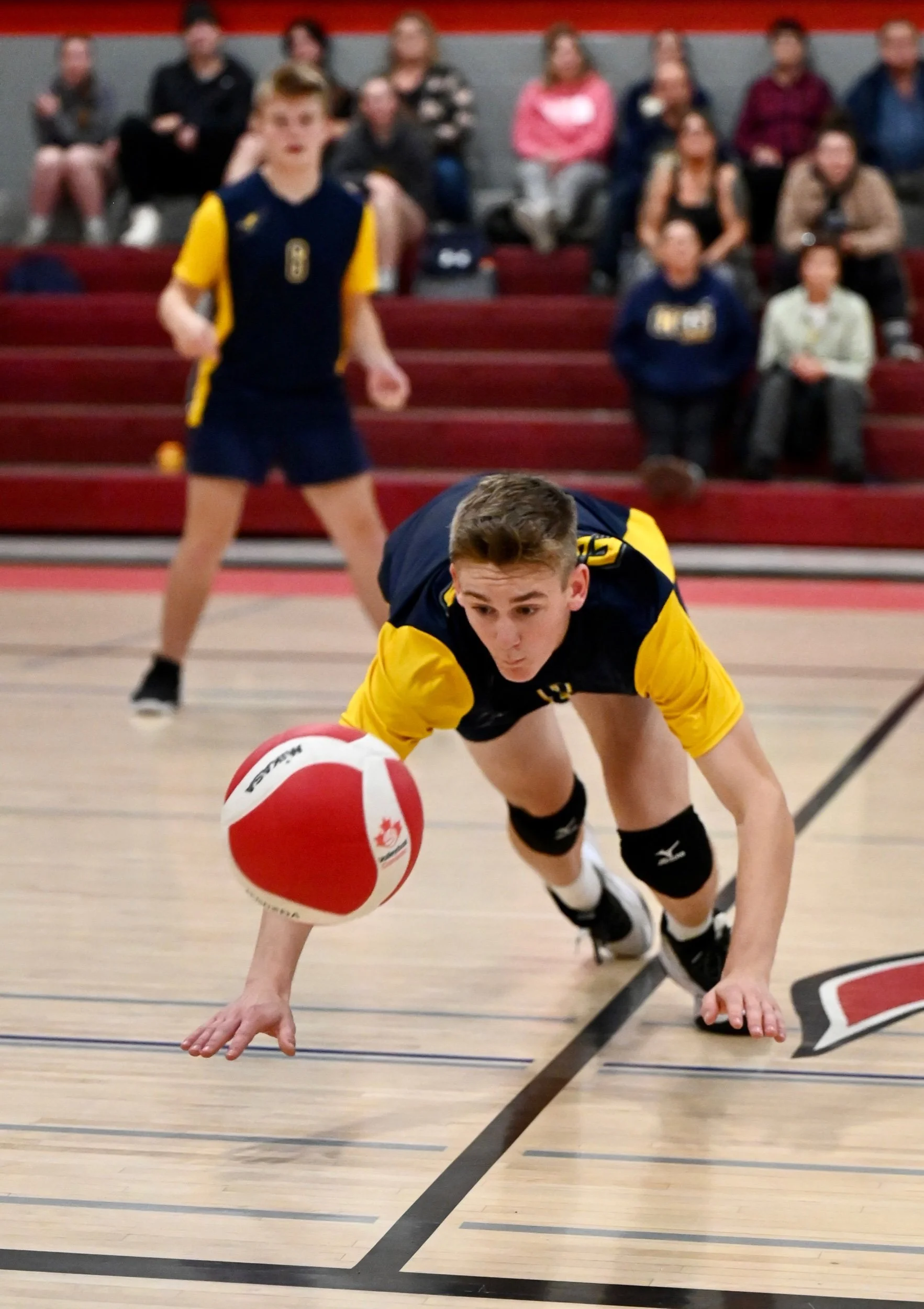 Falcons Soar To An Honest Win