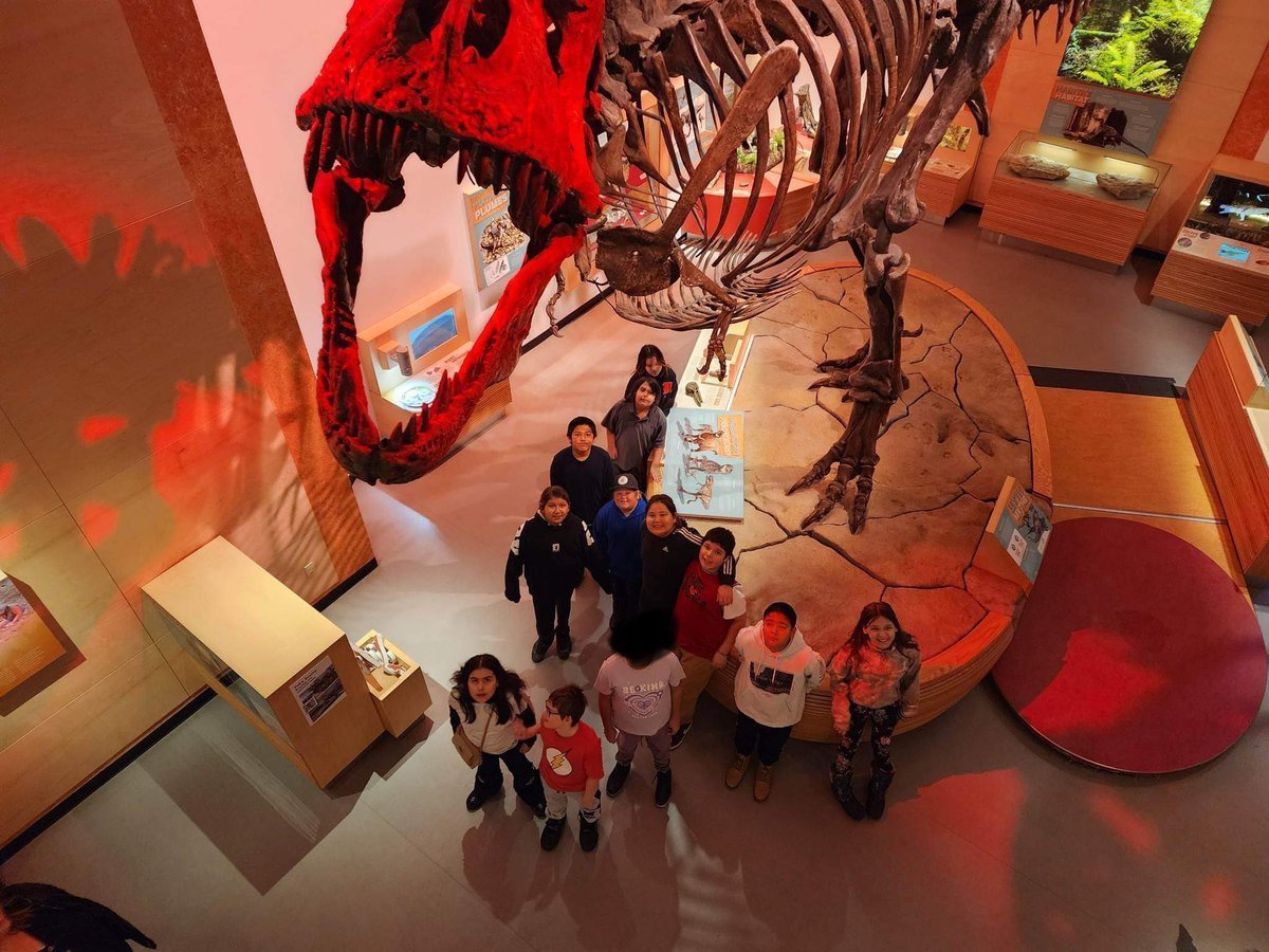 Learn All About Dinosaurs On Friday Evening
