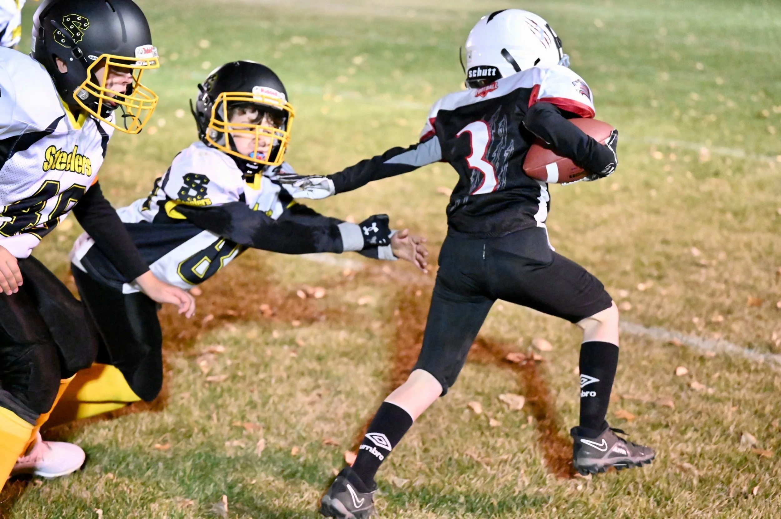 Lions Roar Into Championship Final