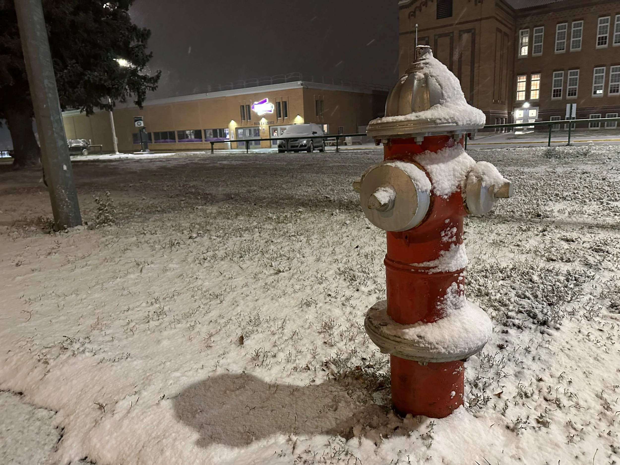 I’m Dreaming Of A White Halloween