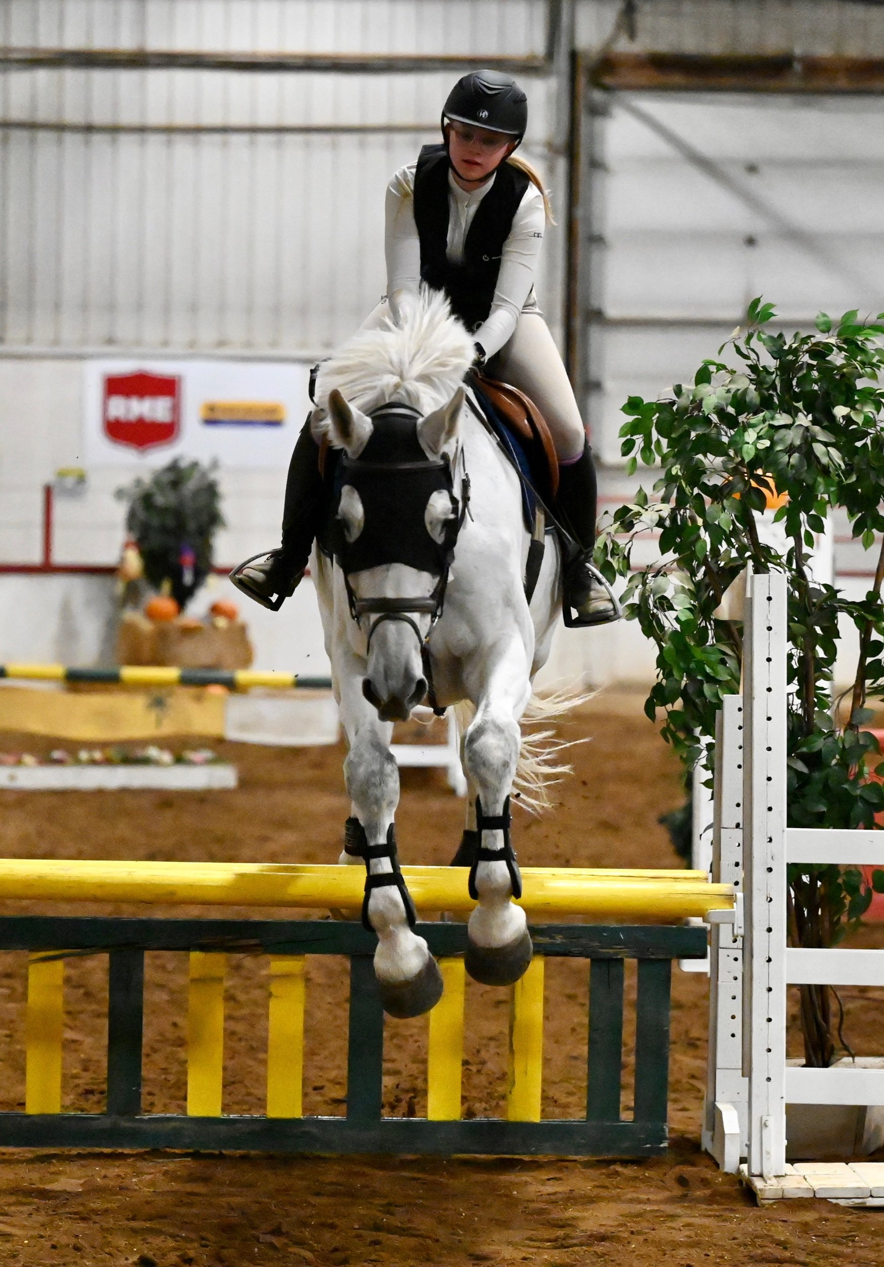 Hunter/Jumper Series Clears 2023 Hurdles