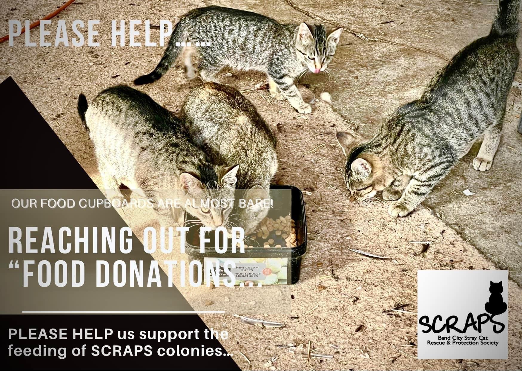 SCRAPS needs your HELP!