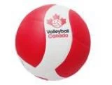 BCA Senior Girls Cougars Eliminated At Regionals