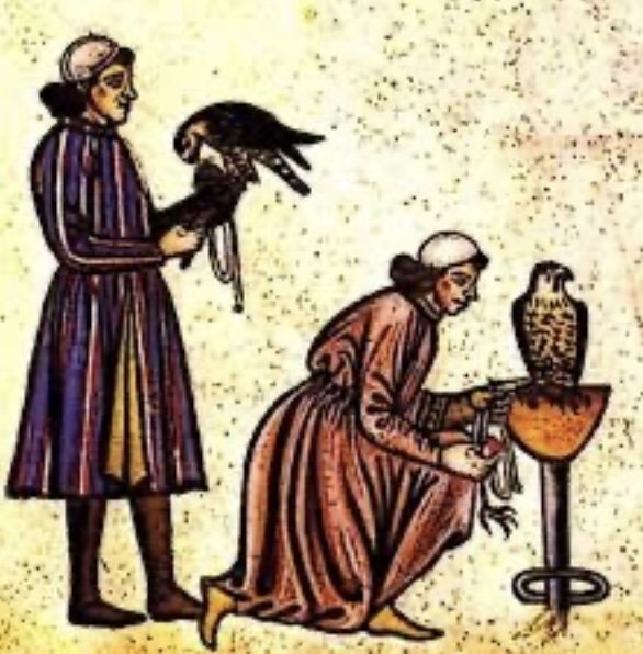 Motion Sees Council Allowing Keeping Hawks And Falcons In Moose Jaw