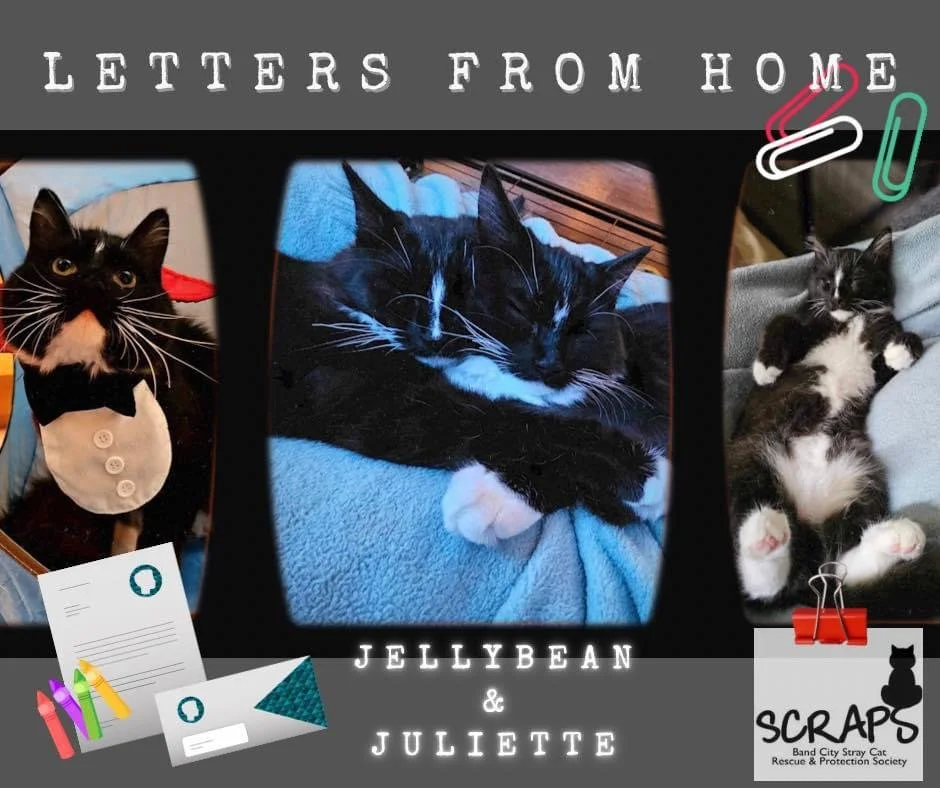 ♥️SCRAPS shares “letters from HOME”….