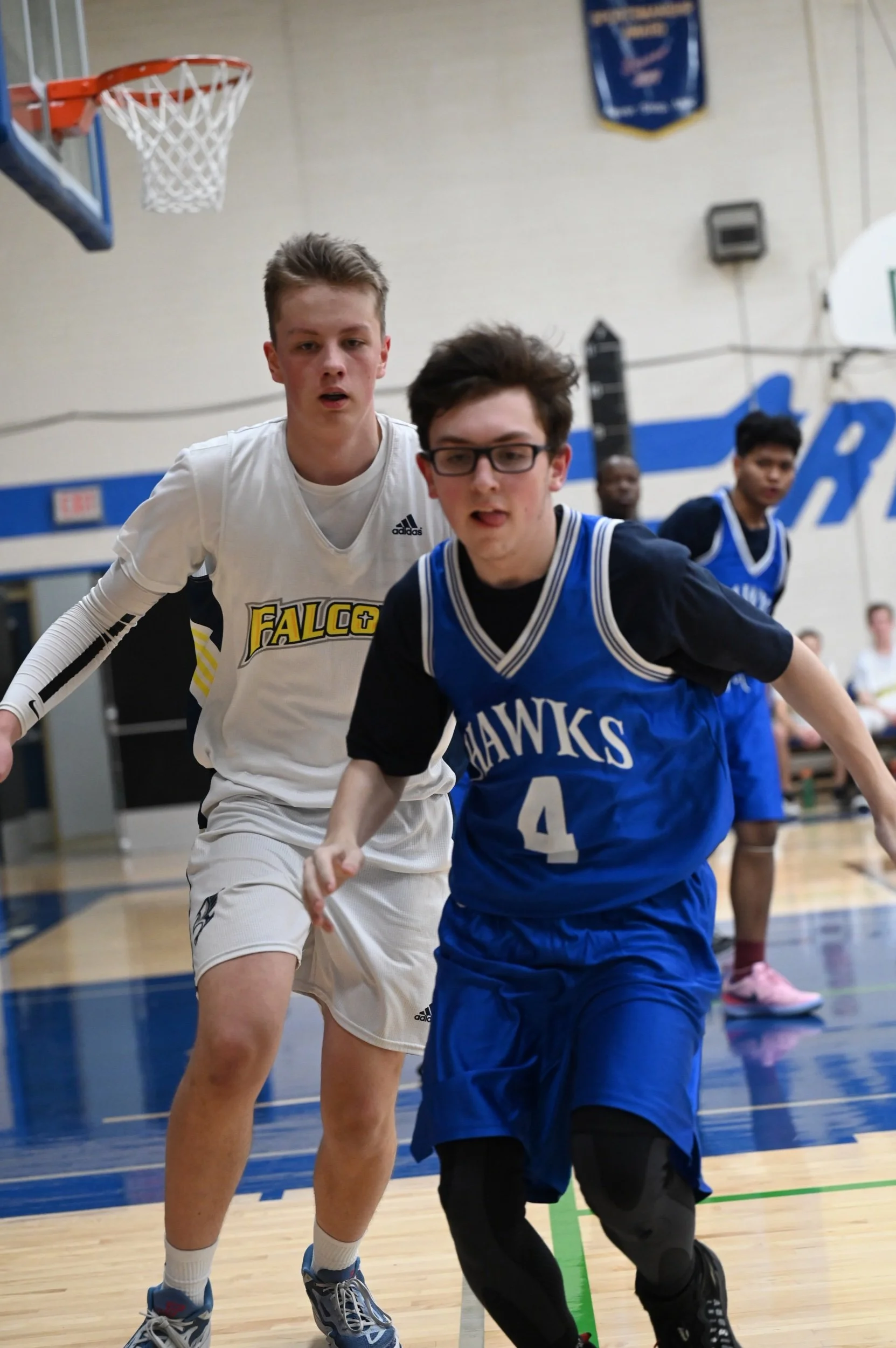 Falcons Prey On Hawks