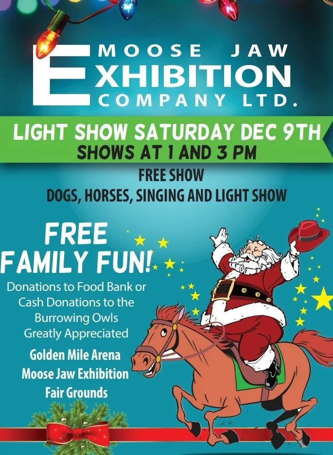 Free Christmas Light Show This Saturday