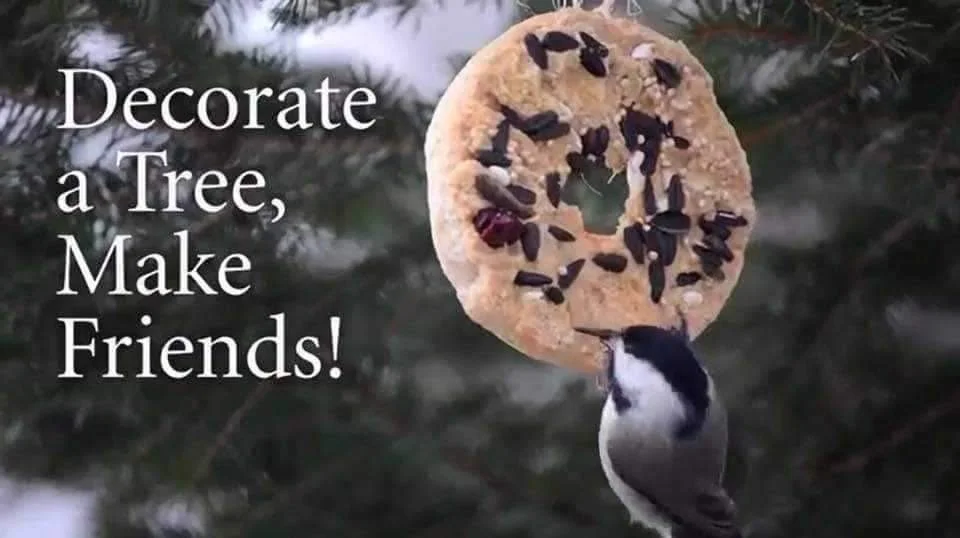 "Decorate a Tree For Wildlife"  🌲🐦🐿🦌"Beyond Your Backyard"🌲