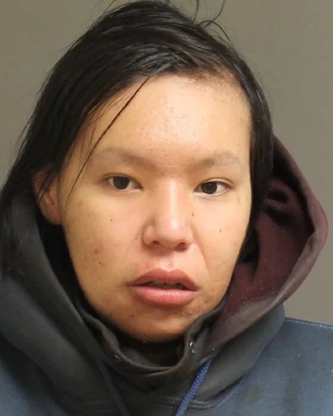 Police Seek Missing Person