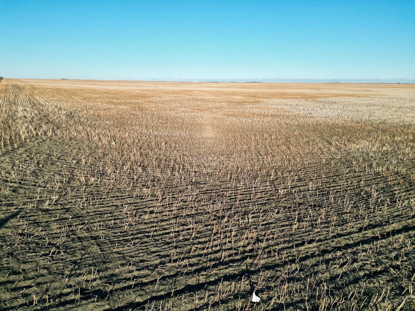 City To Hold Open House About Proposed New Landfill